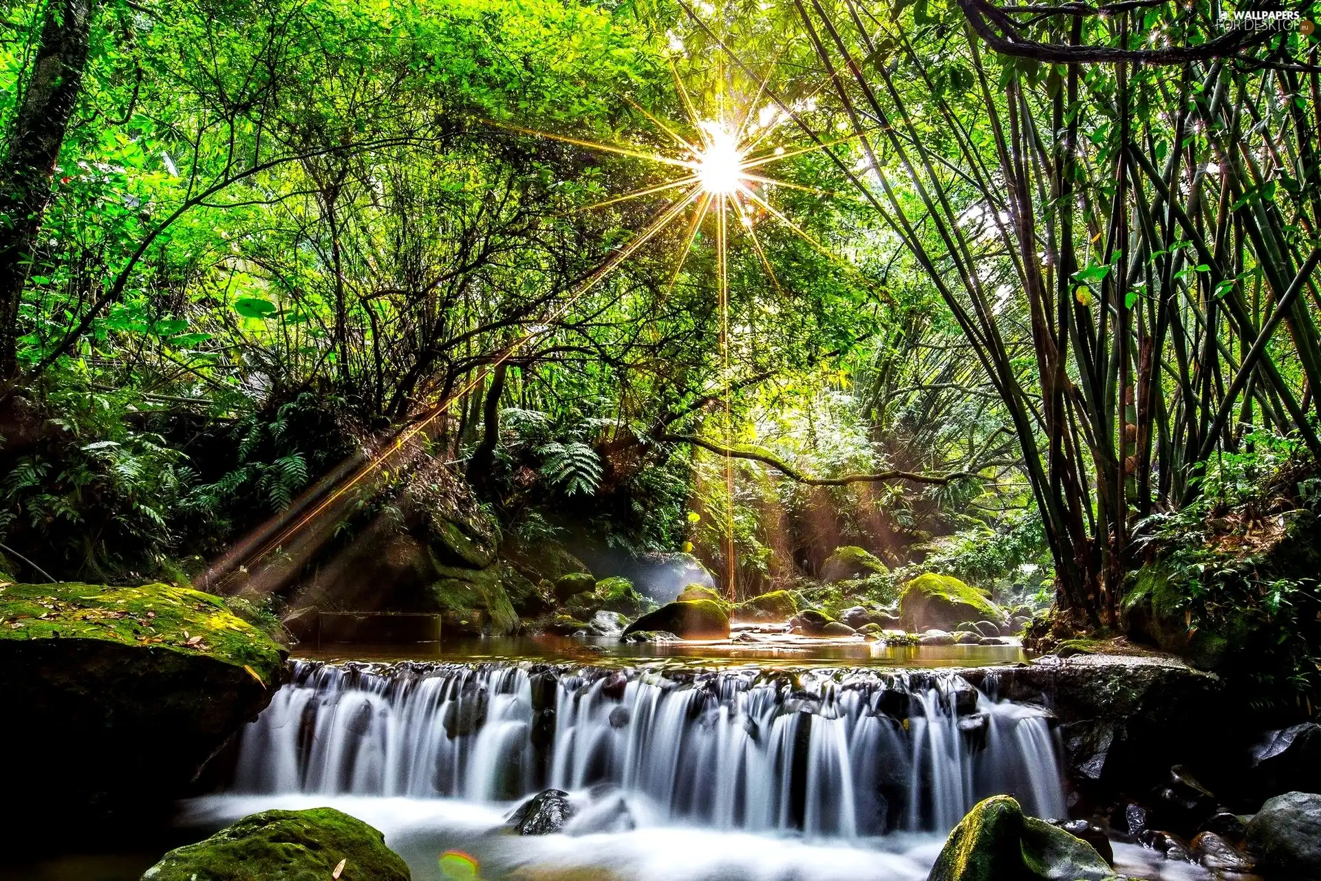 rays of the Sun, forest, waterfall