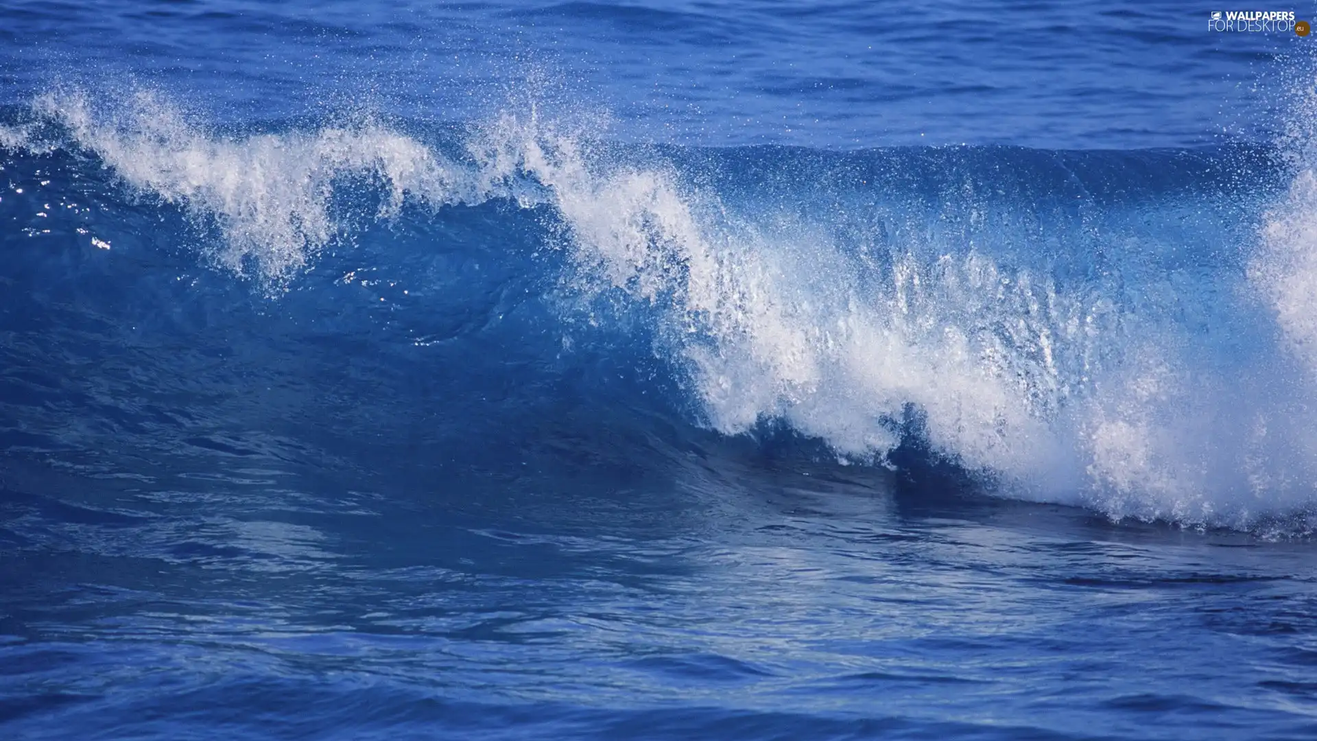 Waves, blue, sea