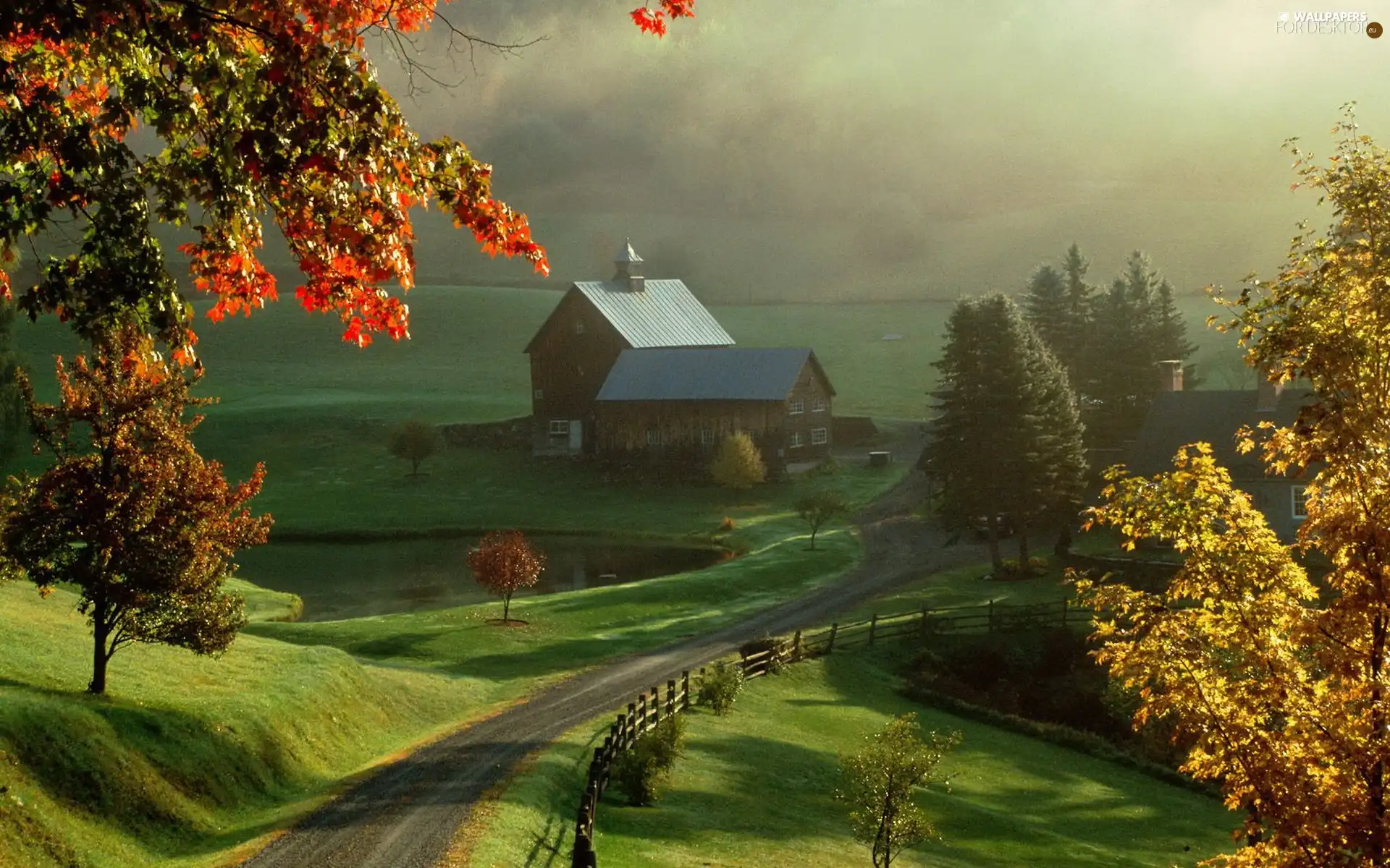 trees, Mountains, Way, Fog, viewes, cottage