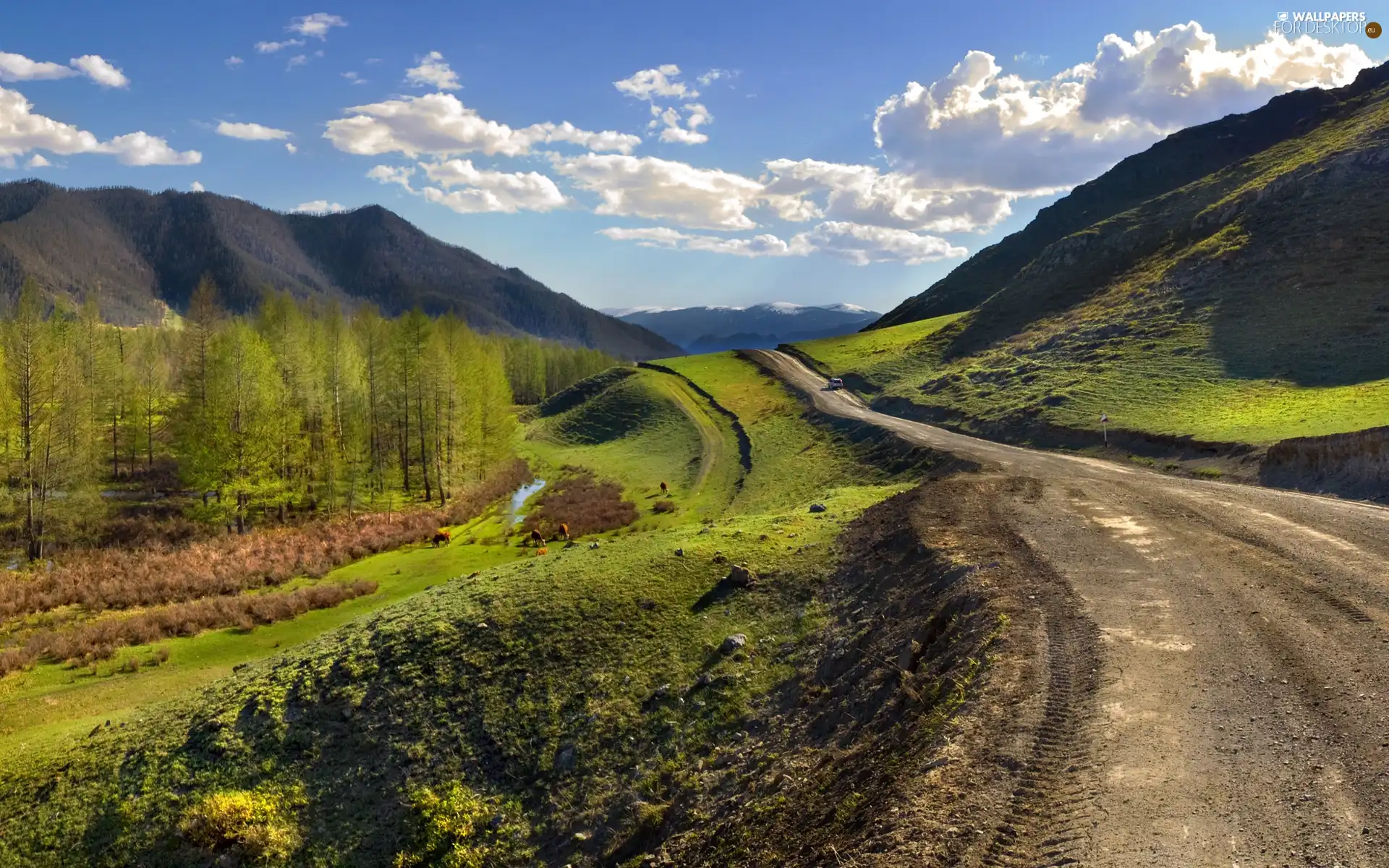 trees, viewes, car in the meadow, Way, Mountains