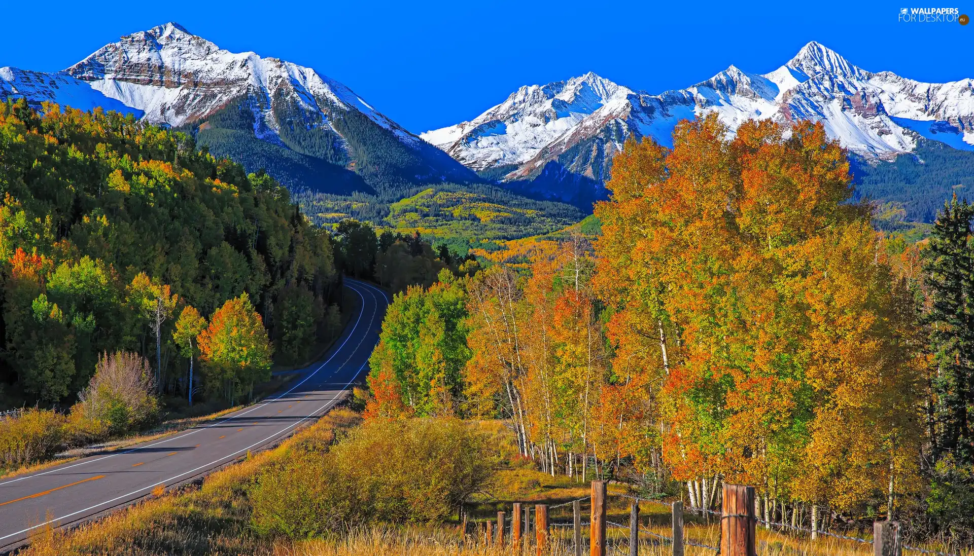 Way, Mountains, trees, viewes, autumn