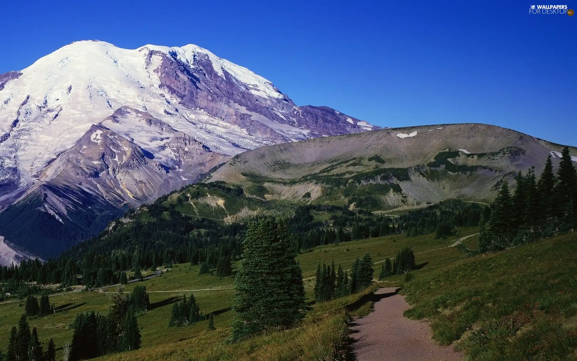 mountains, forest, Way, snow