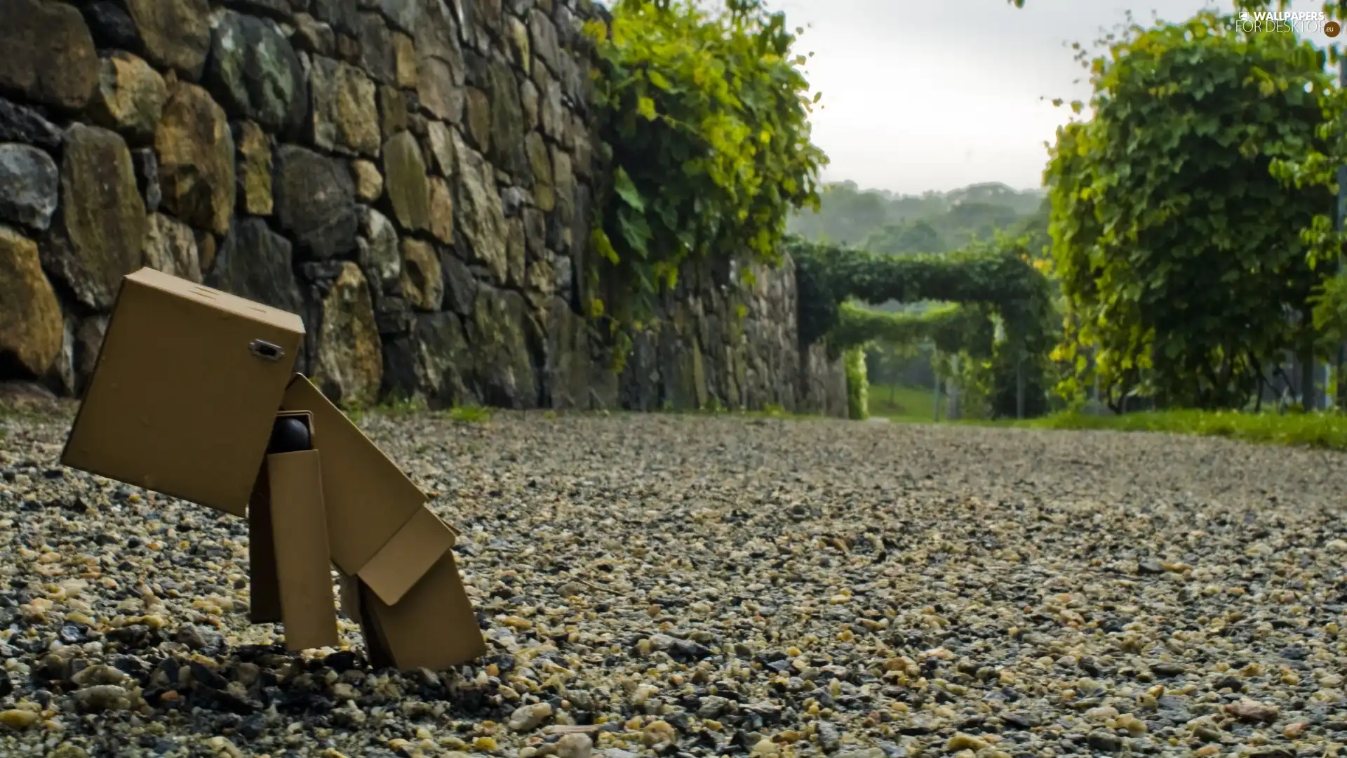 Way, Danbo, rocky