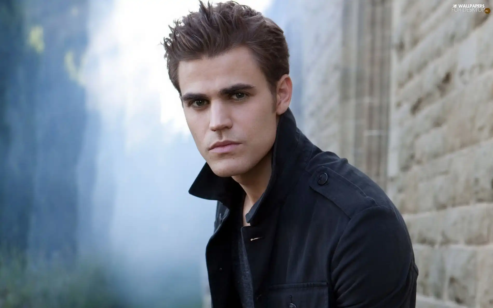 actor, Paul Wesley