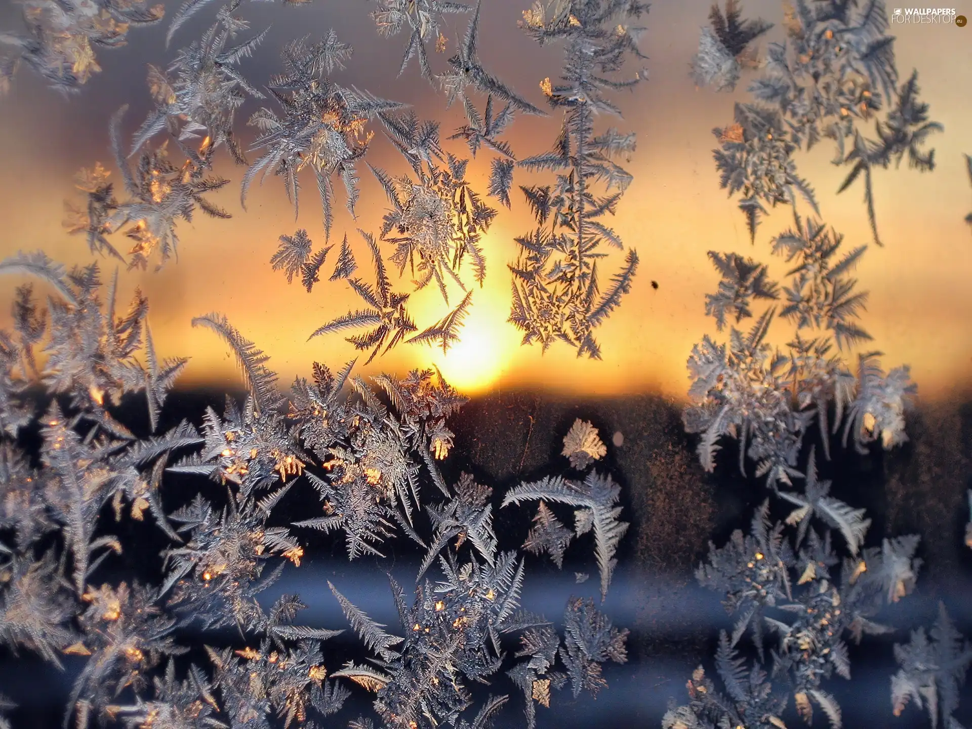 west, sun, an, glass, Frost