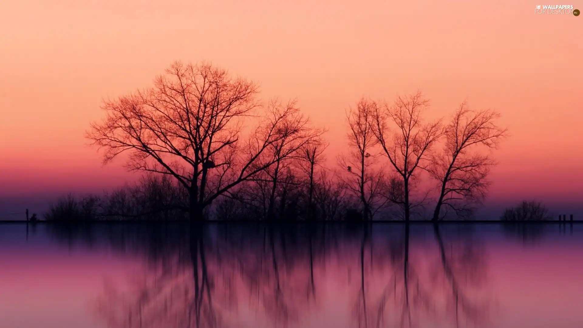 tile, shadows, west, sun, lakes, trees