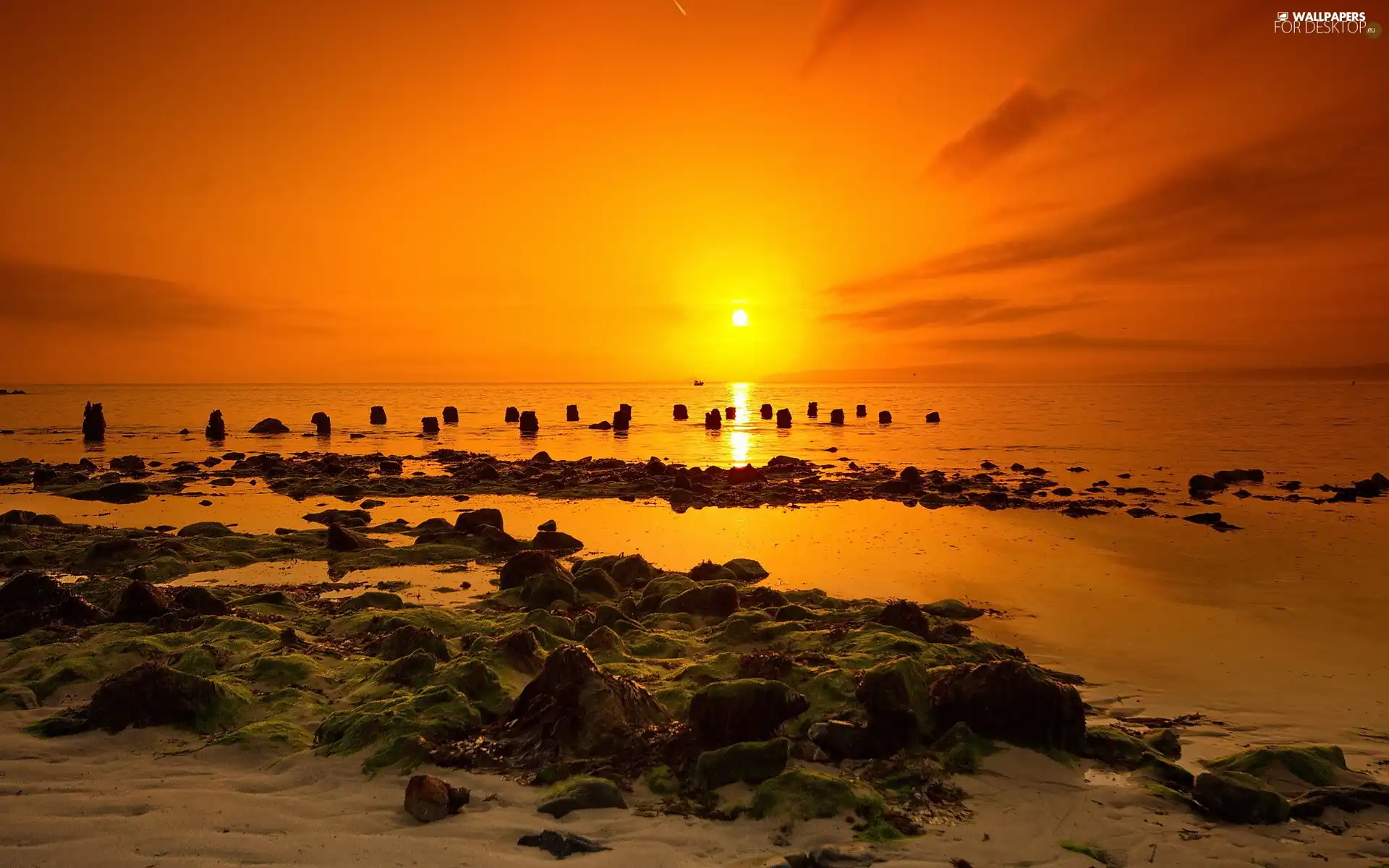 west, sun, Beaches, Stones, sea