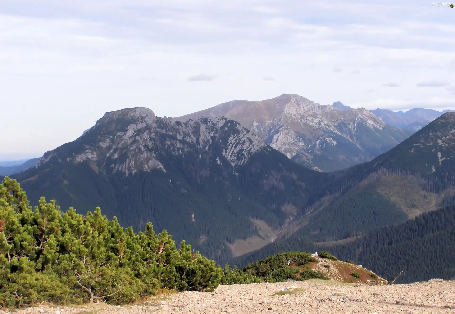 Tatras, West