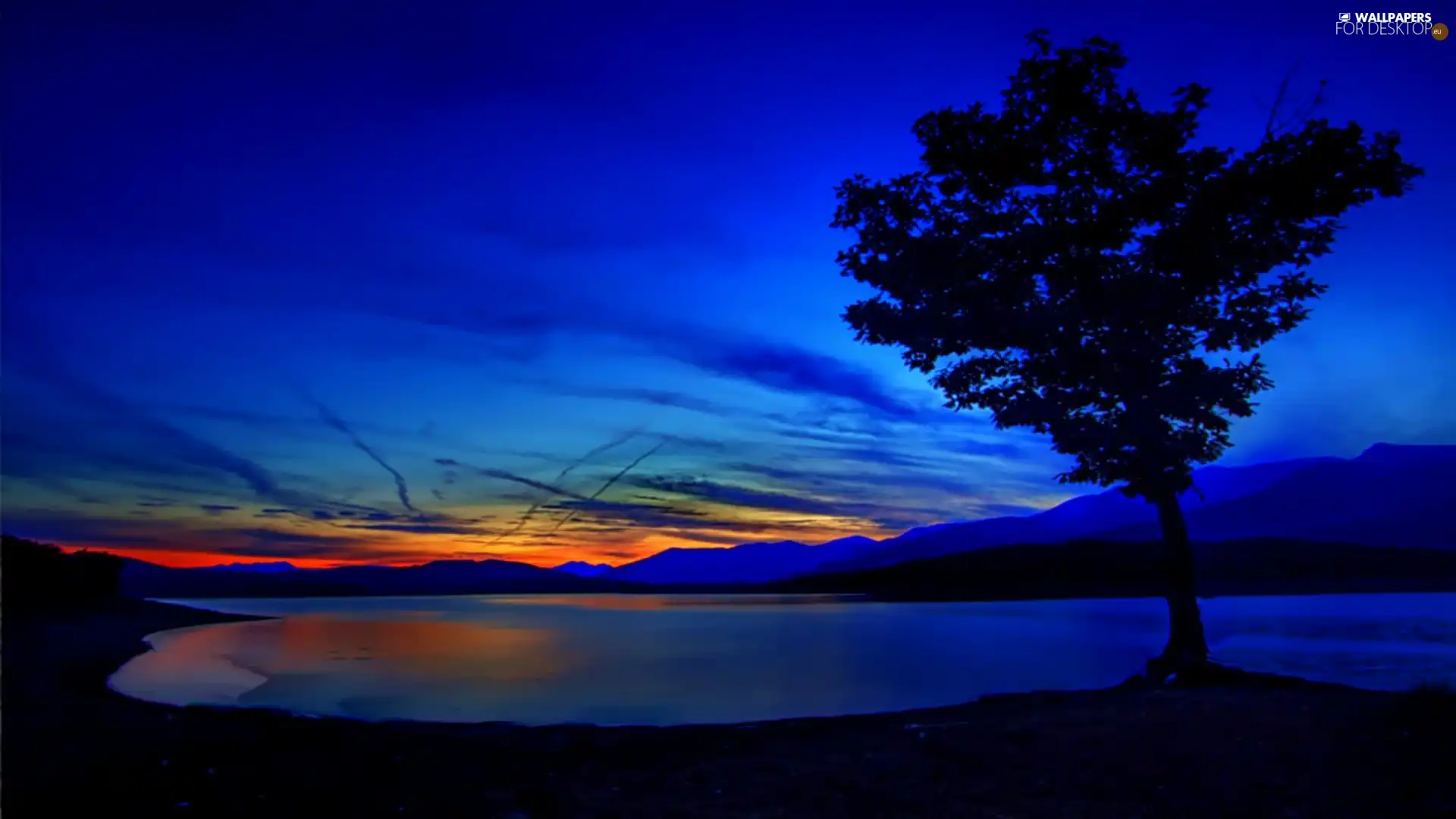 trees, Mountains, west, water