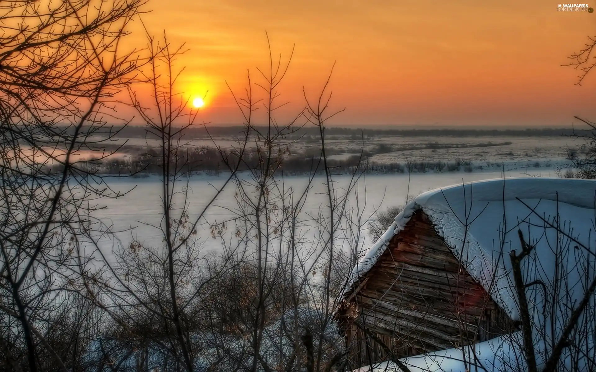 viewes, cote, sun, trees, field, west, winter