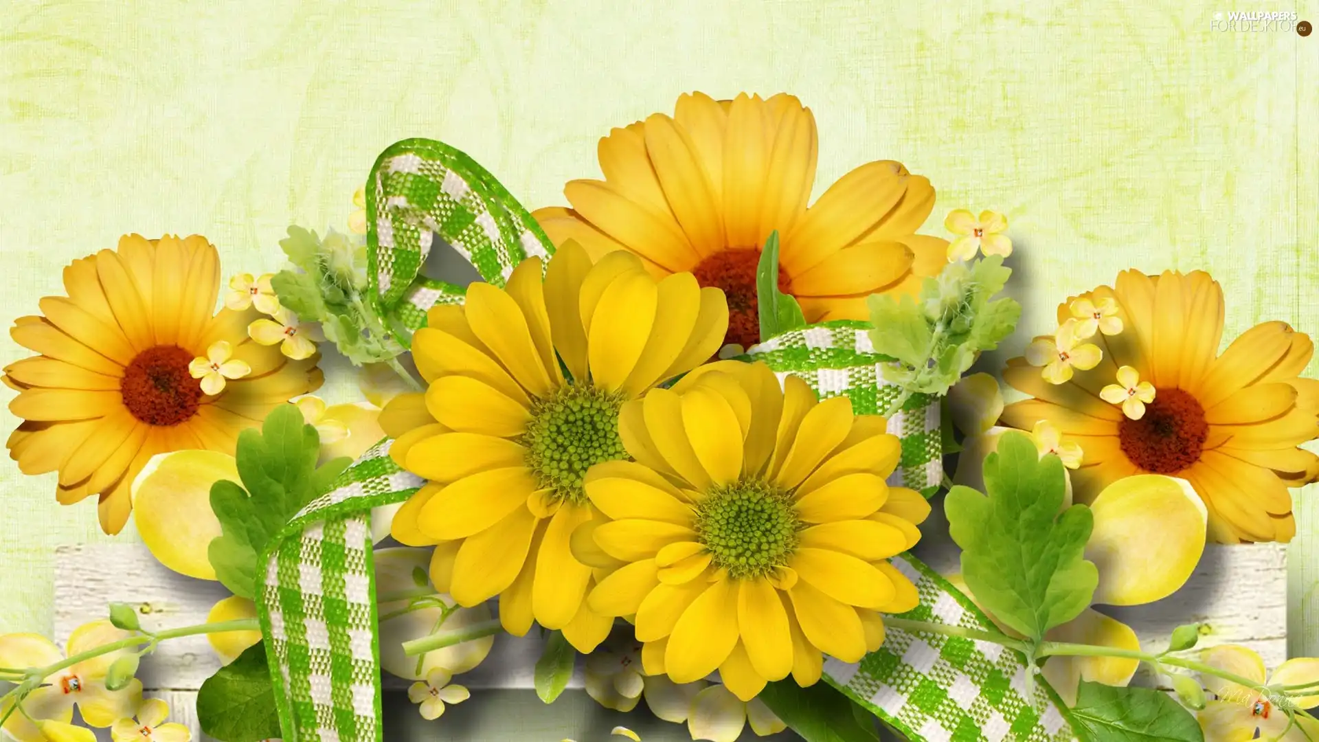 White, ribbon, daisy, green, Yellow