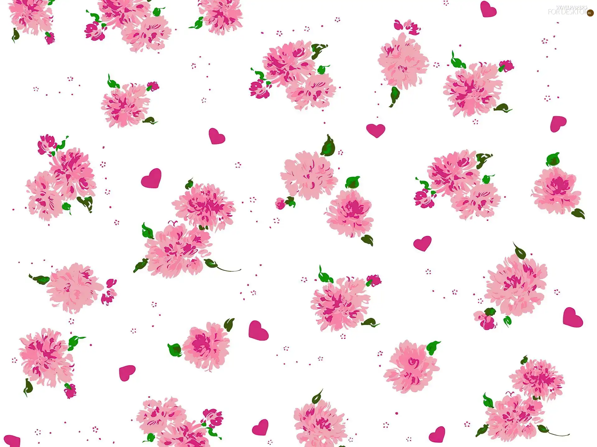 white, tle, Flowers, an, Pink