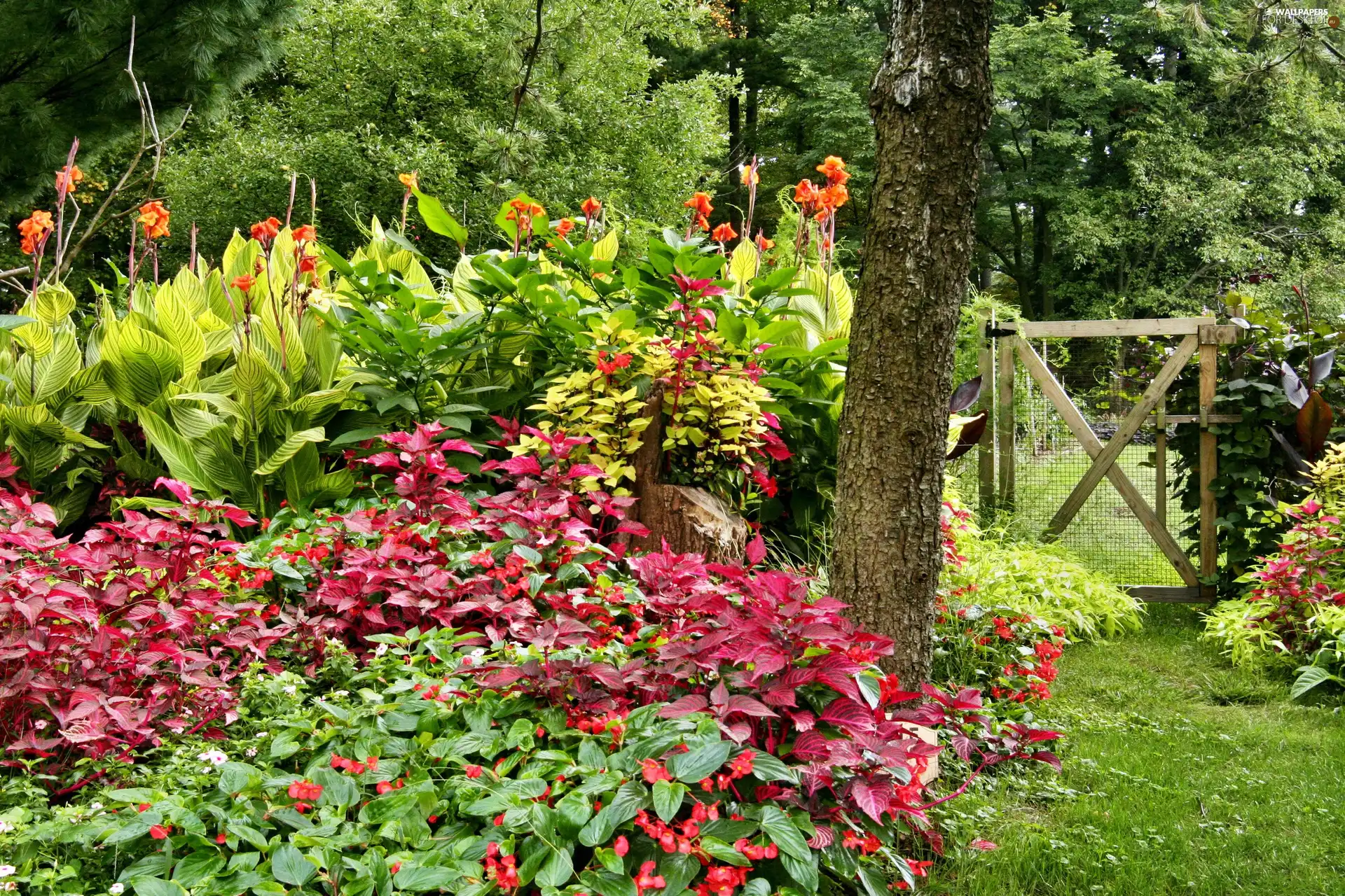 Garden, Flowers, wicket, color