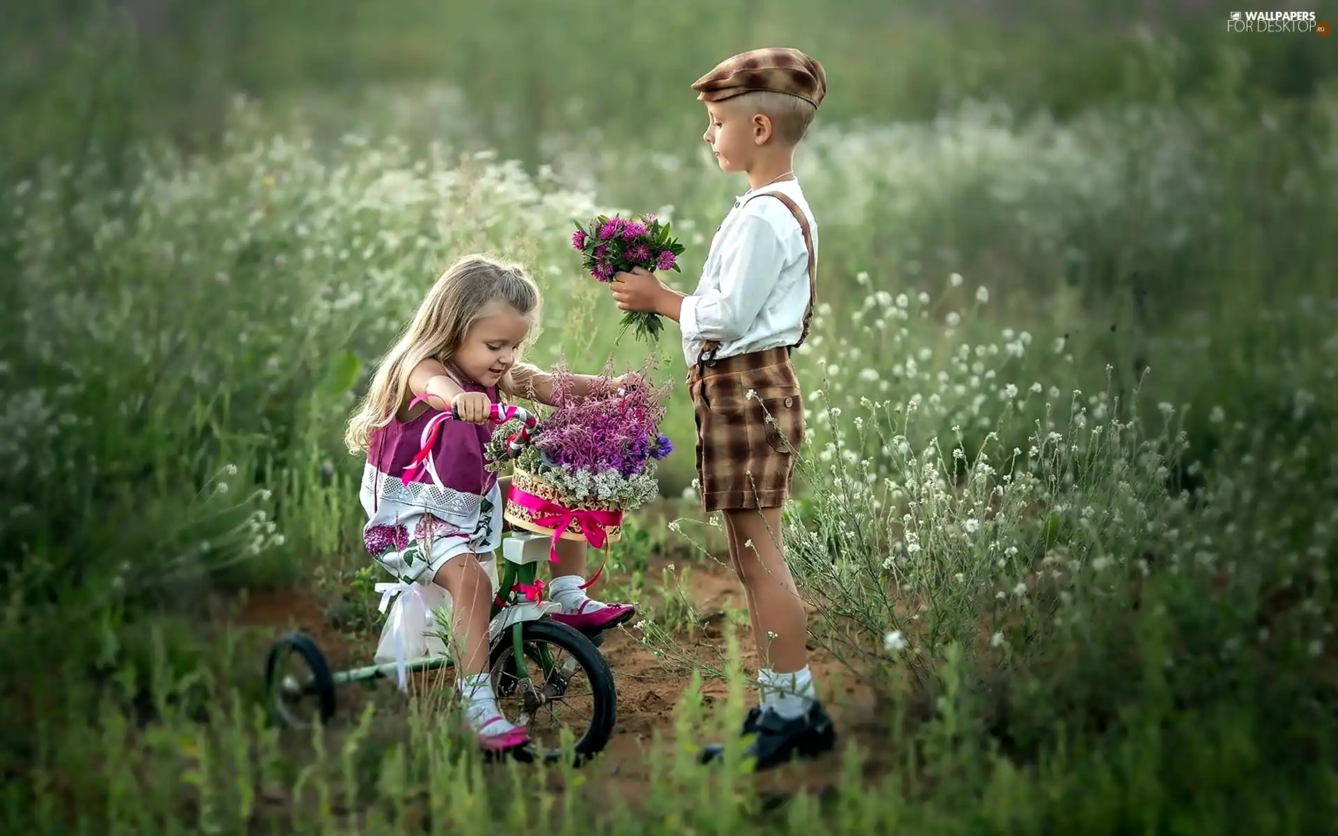 Bicycle, Kids, Wildflowers, Flowers, Bouquets, Meadow