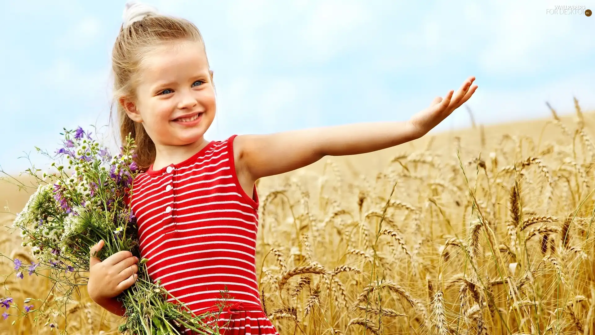 Wildflowers, Flowers, cereals, girl, corn