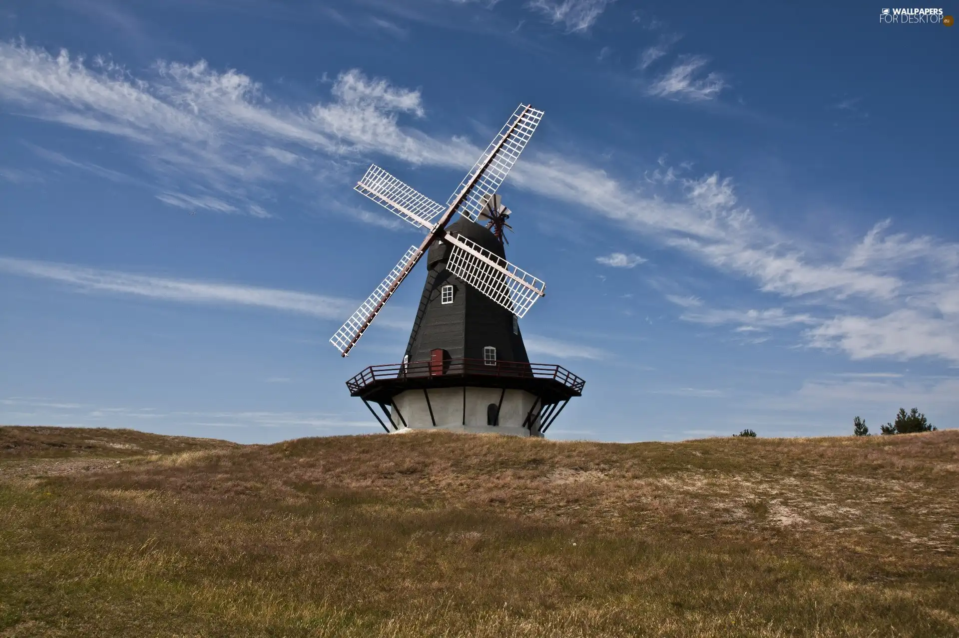 Windmill