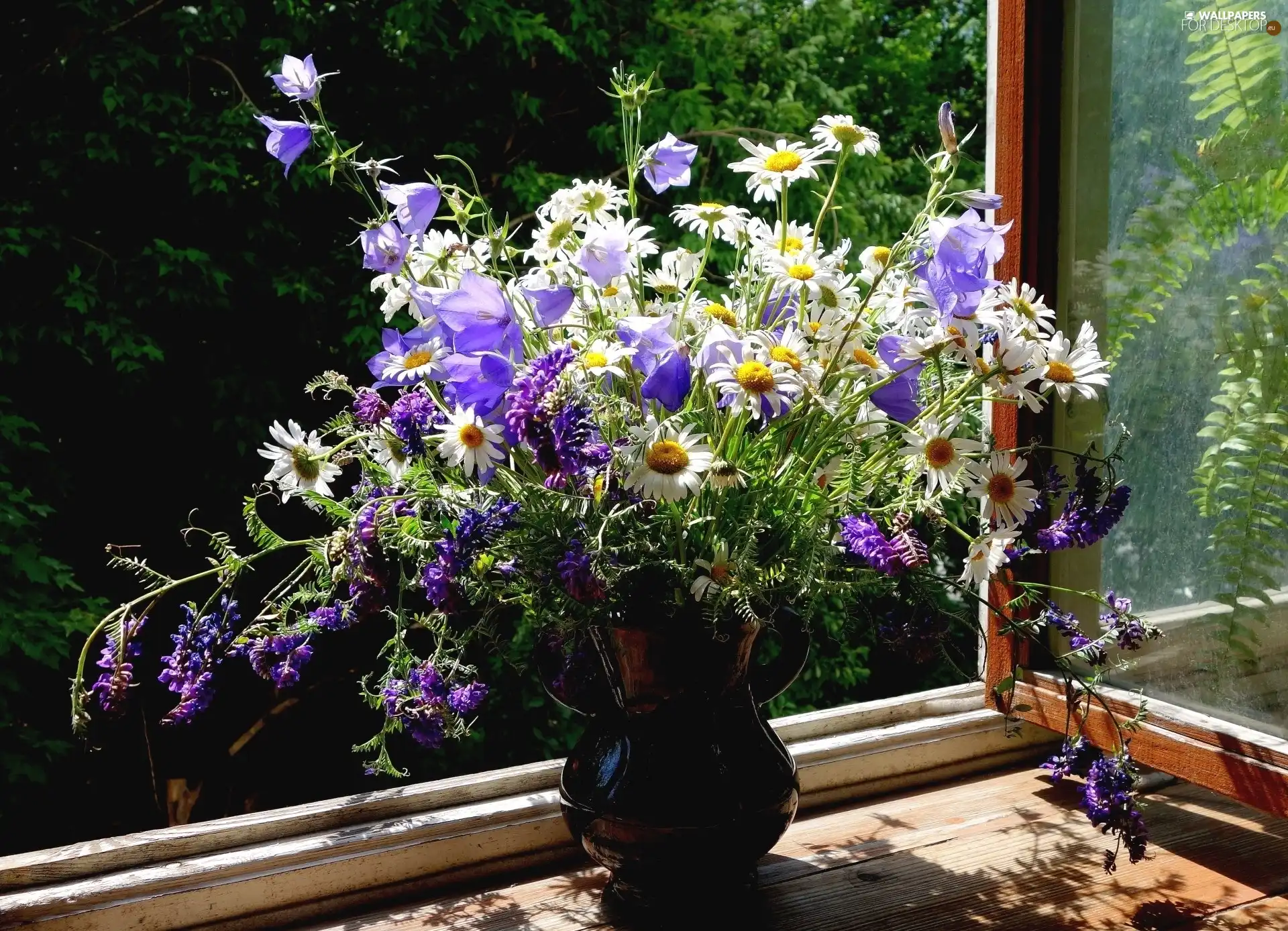 bouquet, flowers, Window, wild