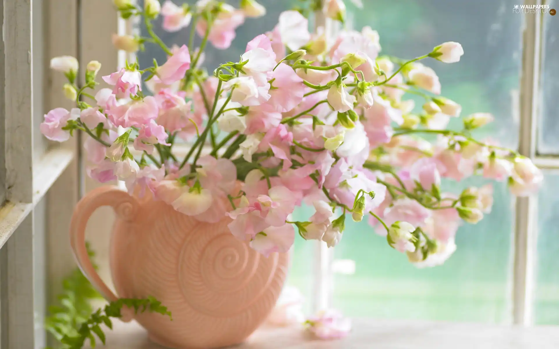 peas, Vase, Window, fragrant