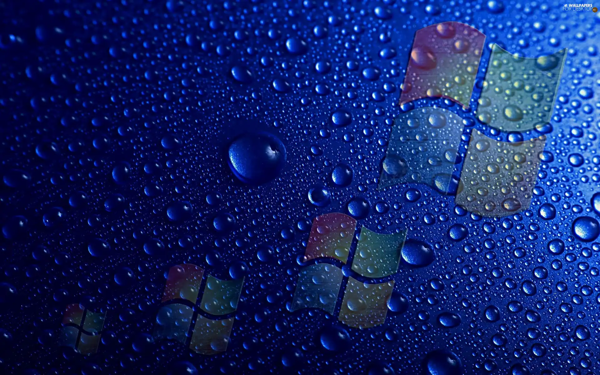 windows, water, drops