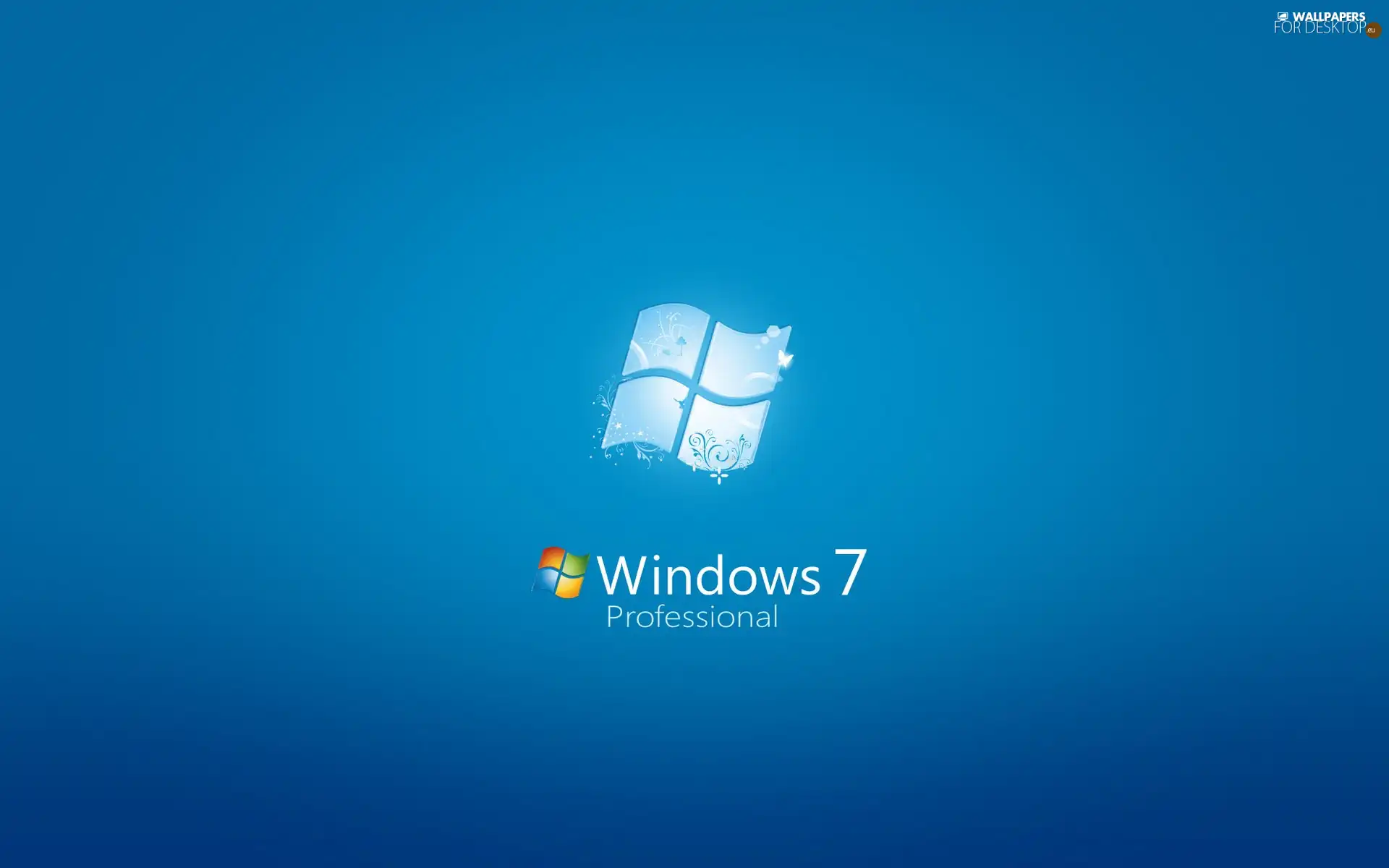 Windows 7, Professional