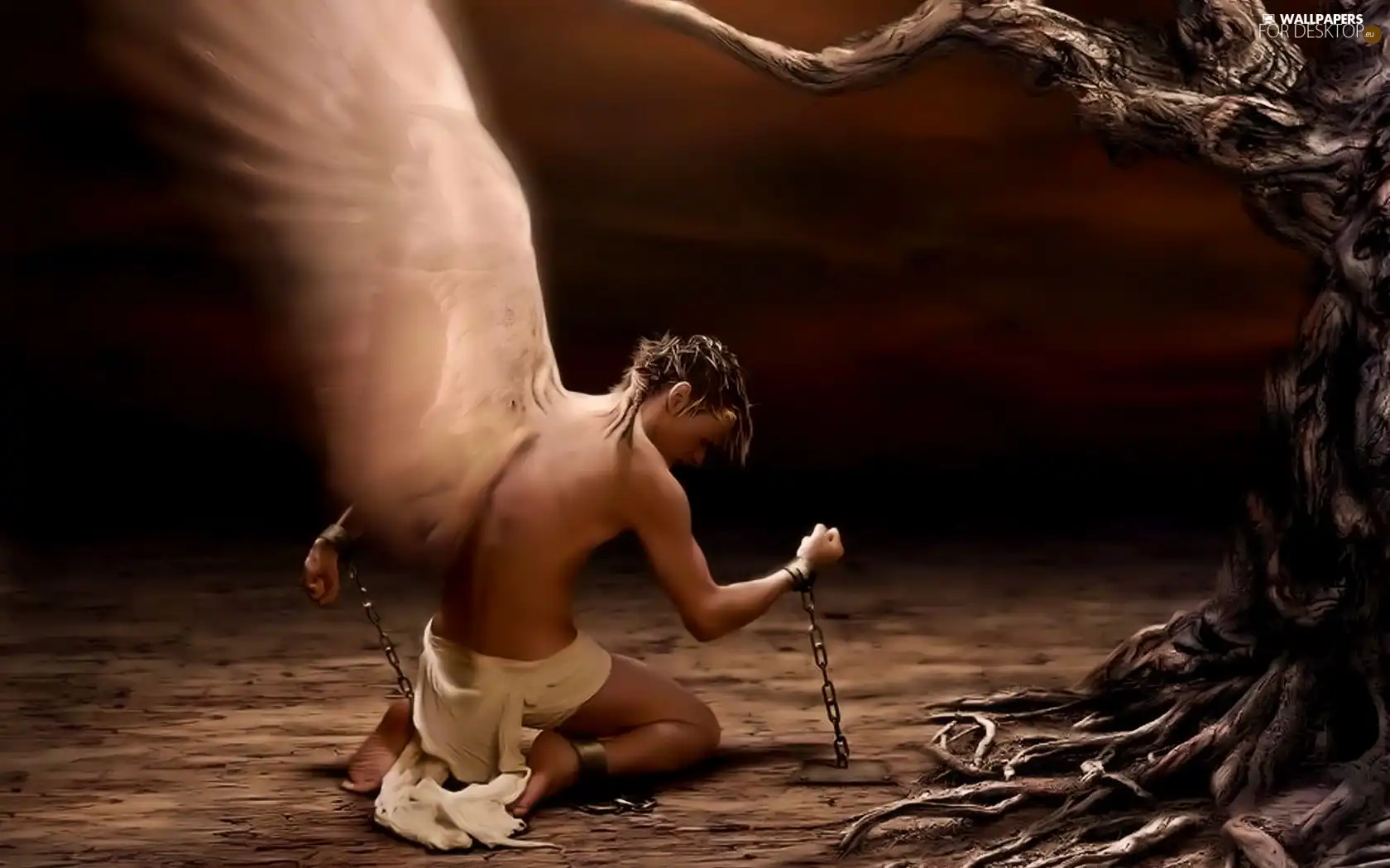 angel, a man, wings