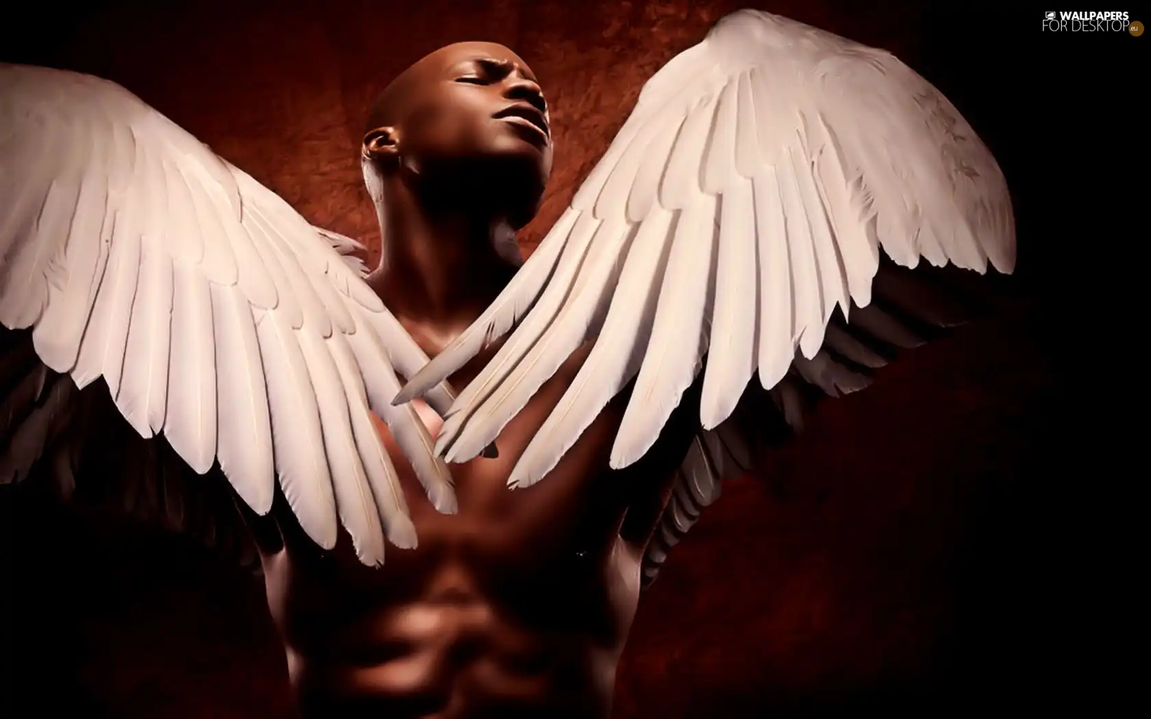 Angel, a man, wings