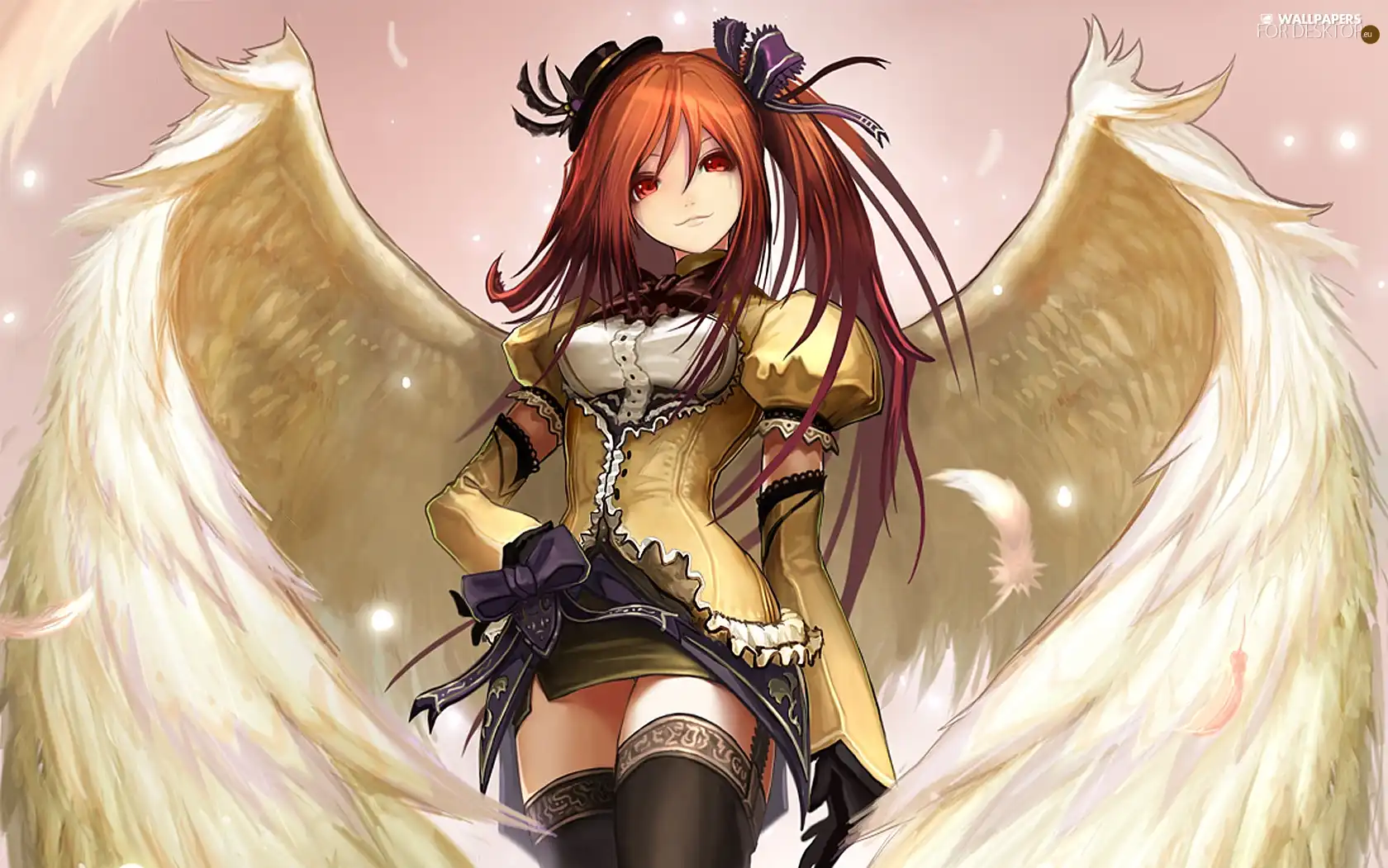 wings, girl, angel