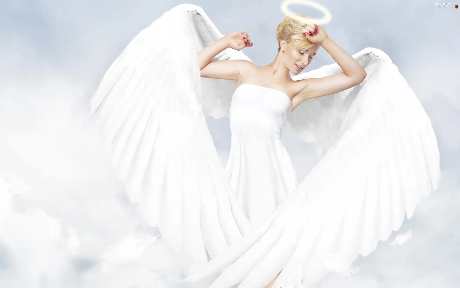 wings, Women, angel