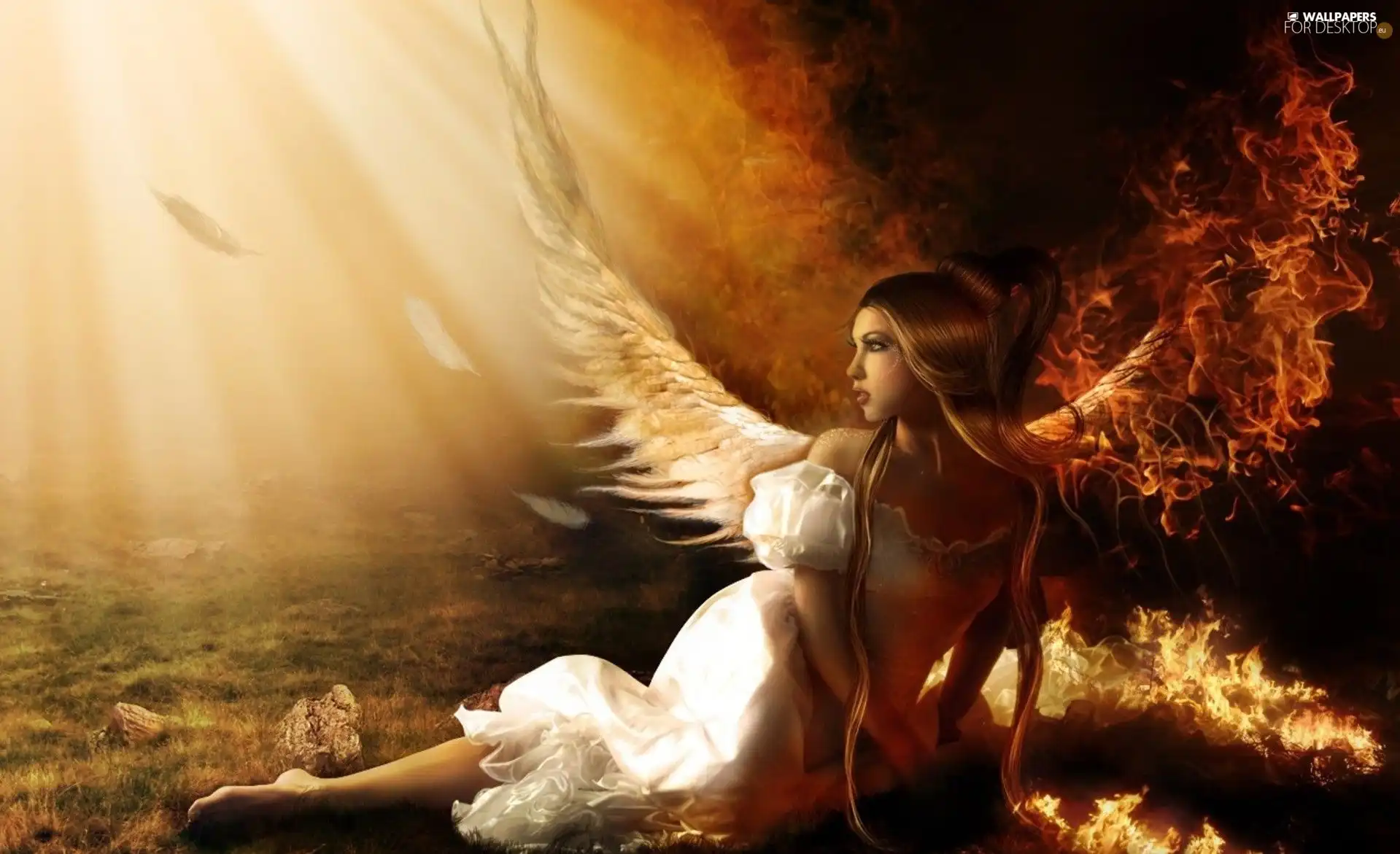 Big Fire, angel, wings