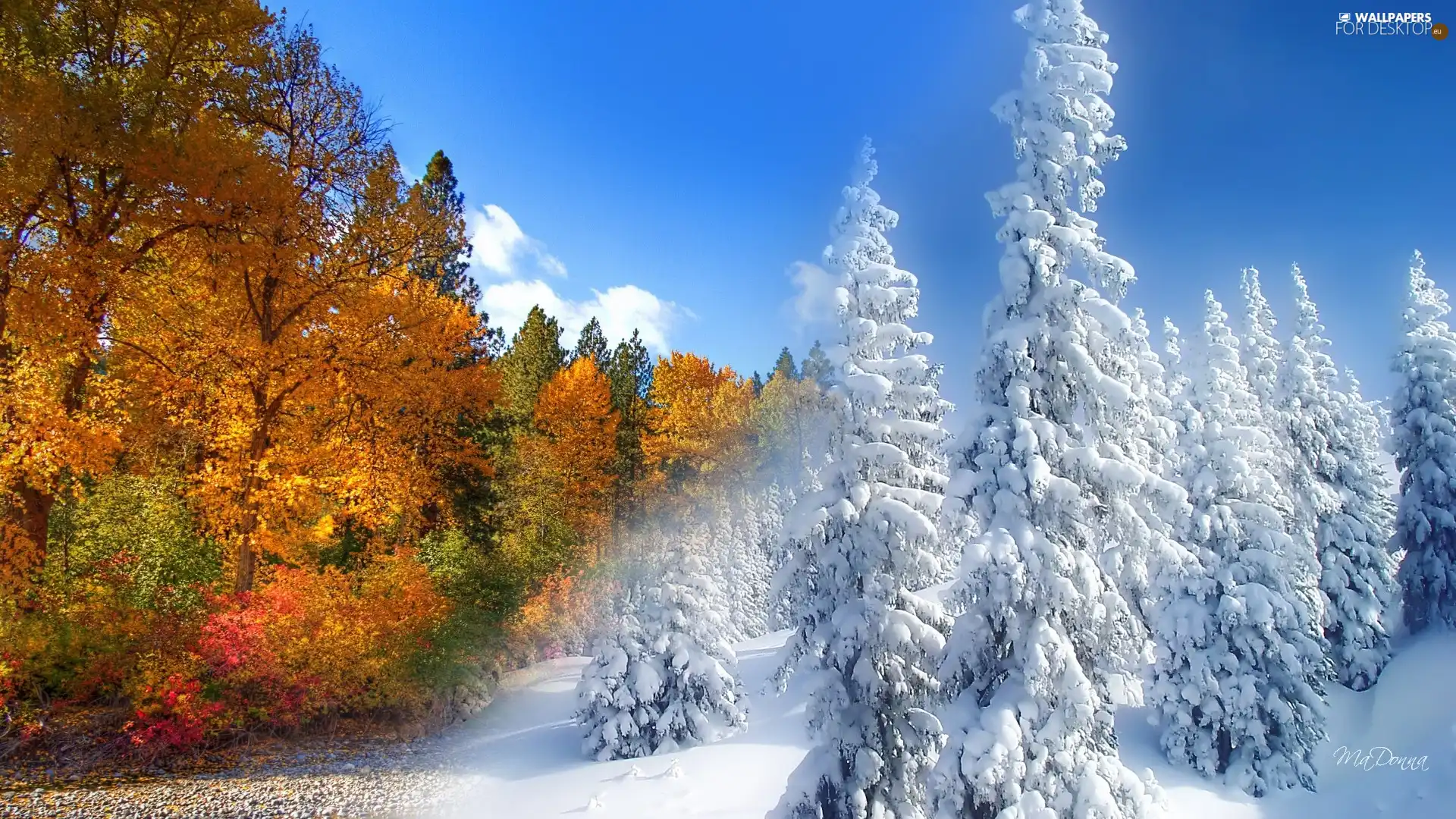 autumn, winter