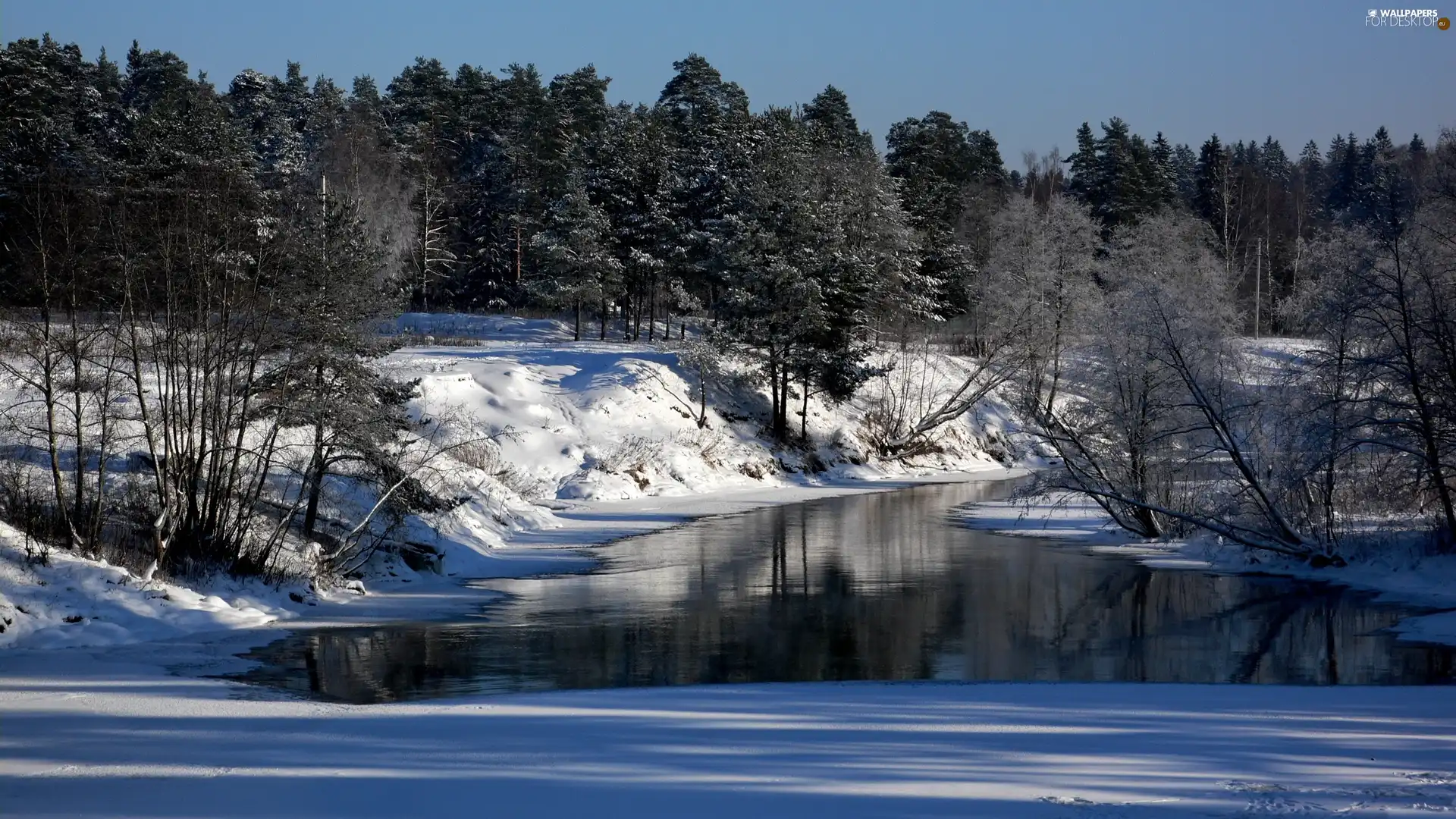 winter, River, forest