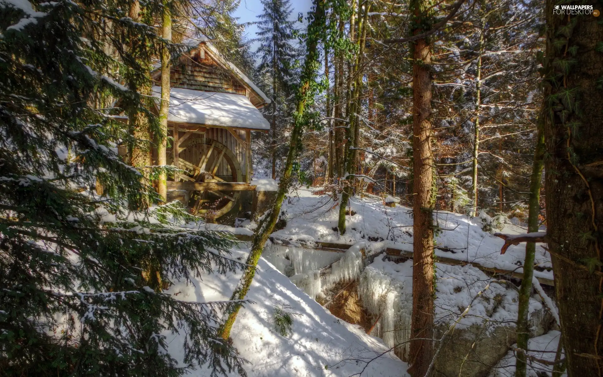 winter, Watermill, forest