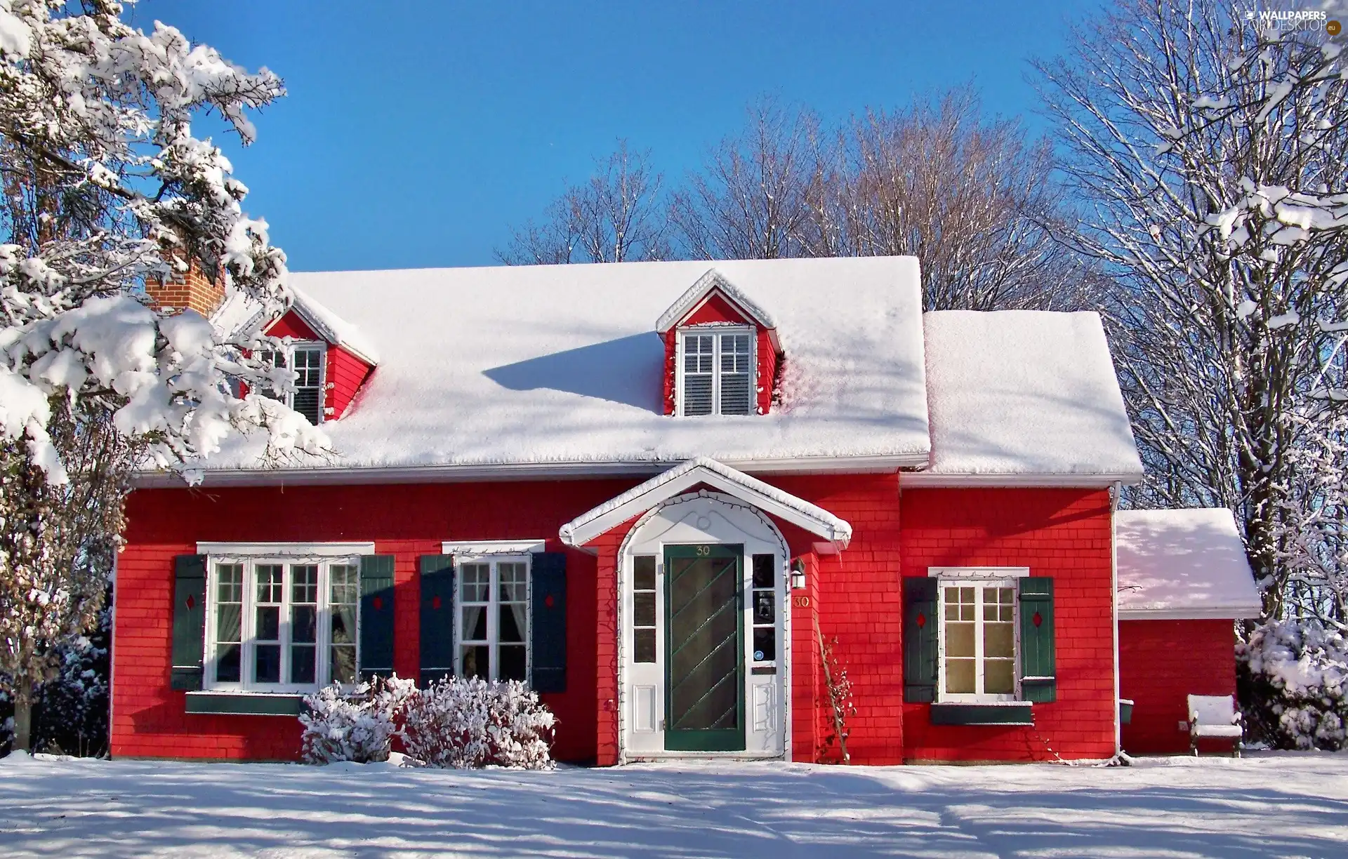 winter, Red, Home
