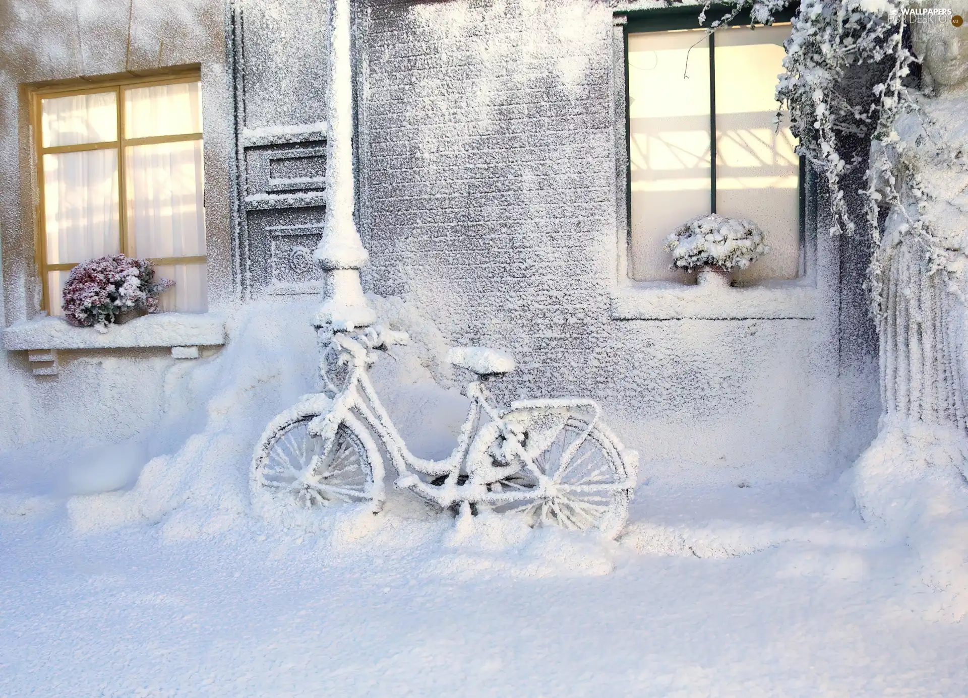 house, snow, winter, Bike