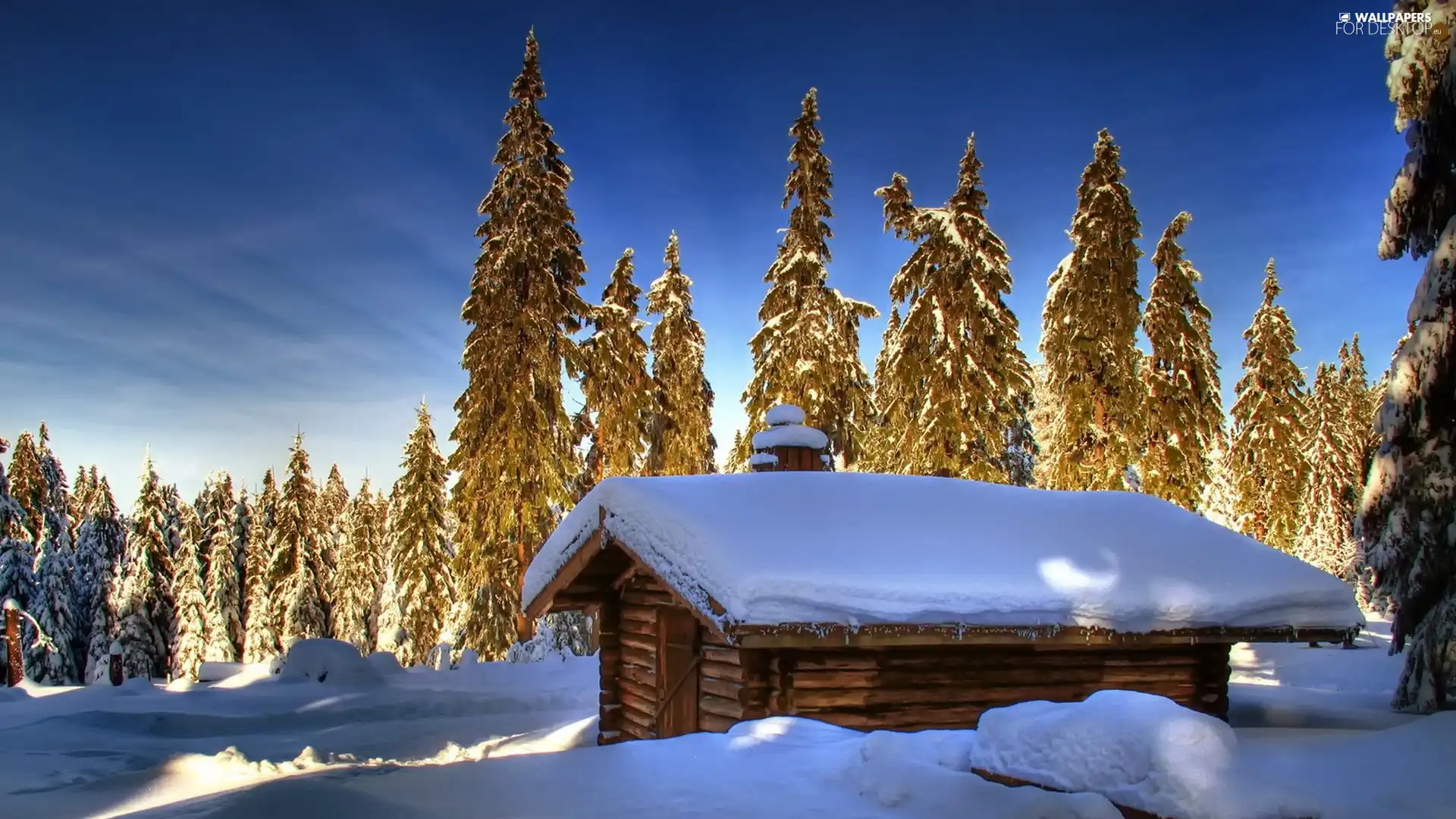 house, viewes, winter, trees