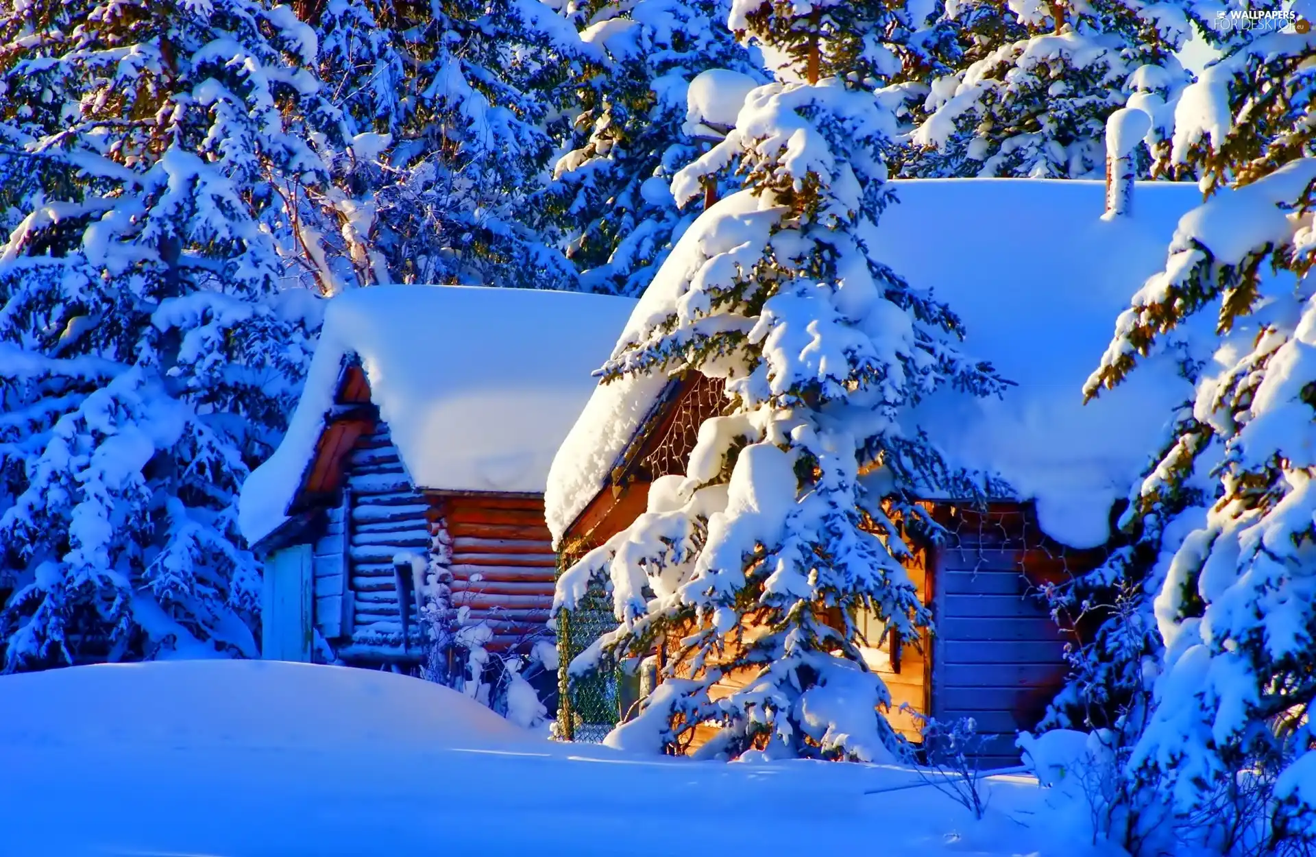 Houses, snow, winter, forest