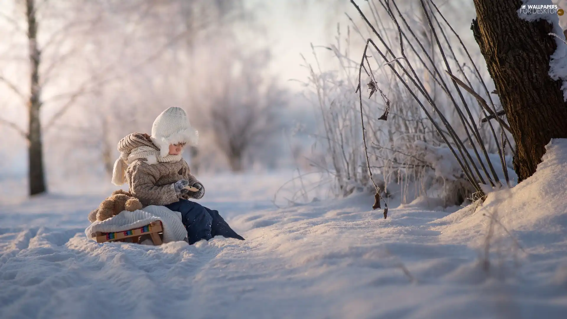 Kid, sledge, snow, winter