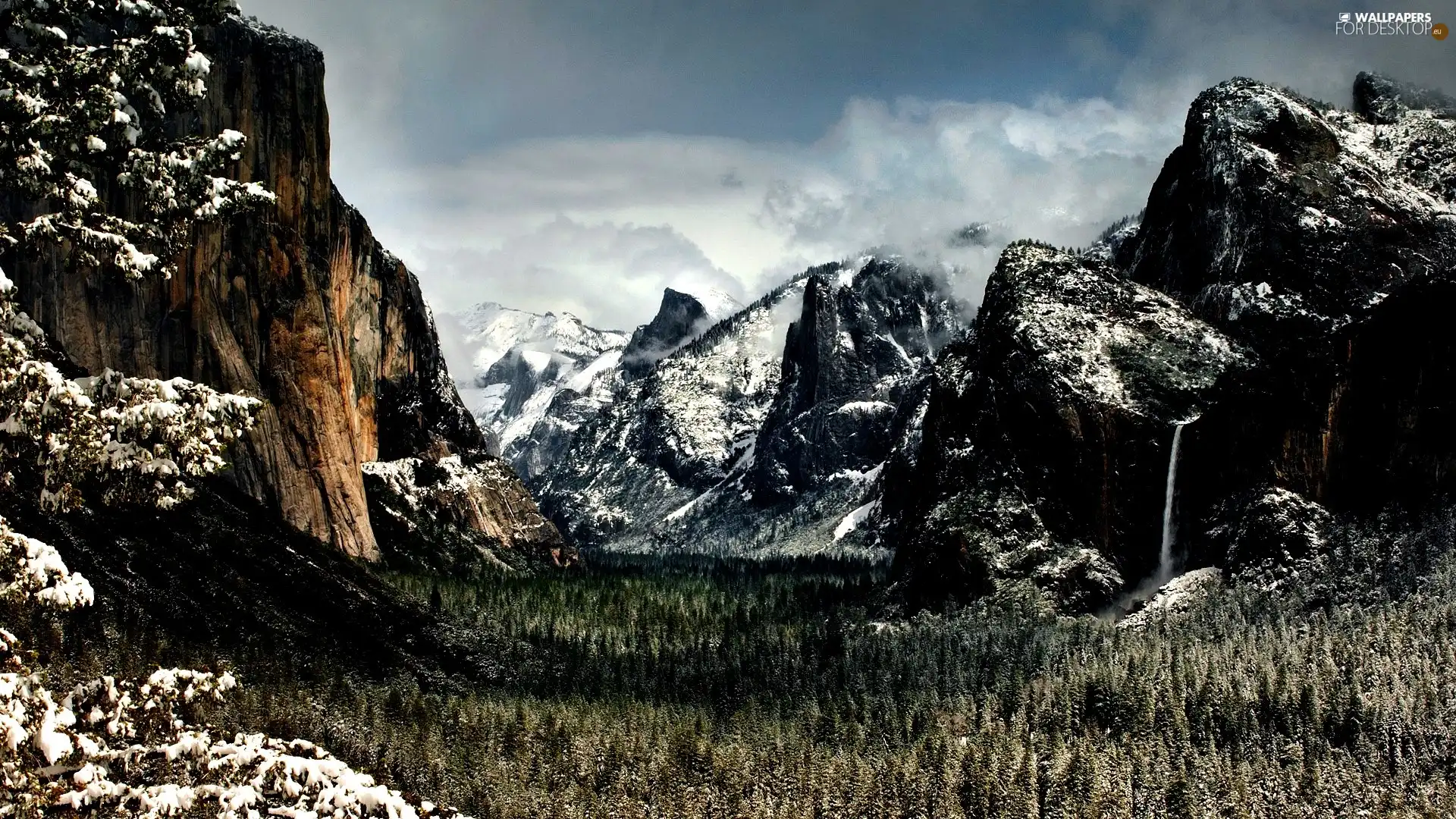 Mountains, forest, winter, rocks