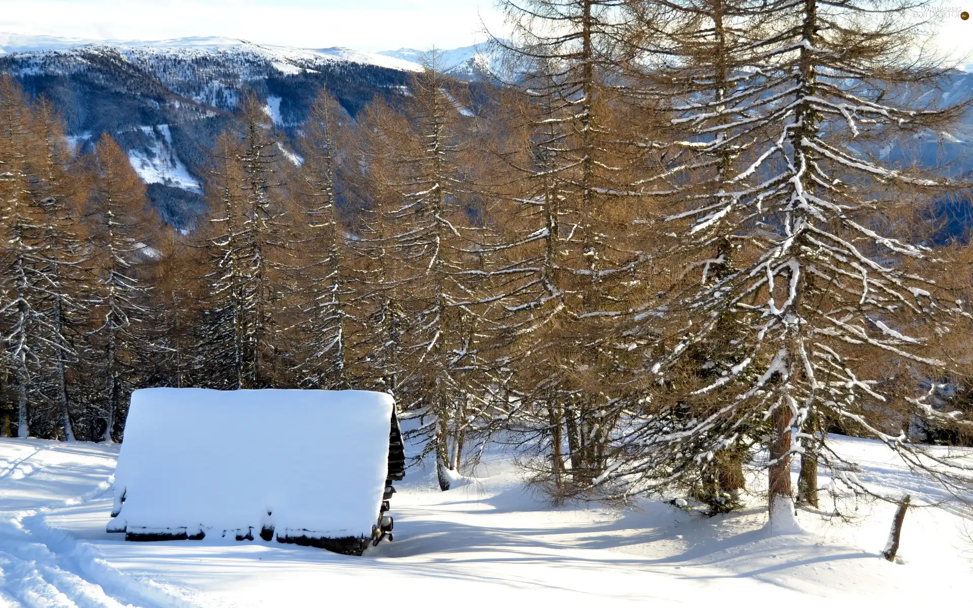 Mountains, hut, winter, woods