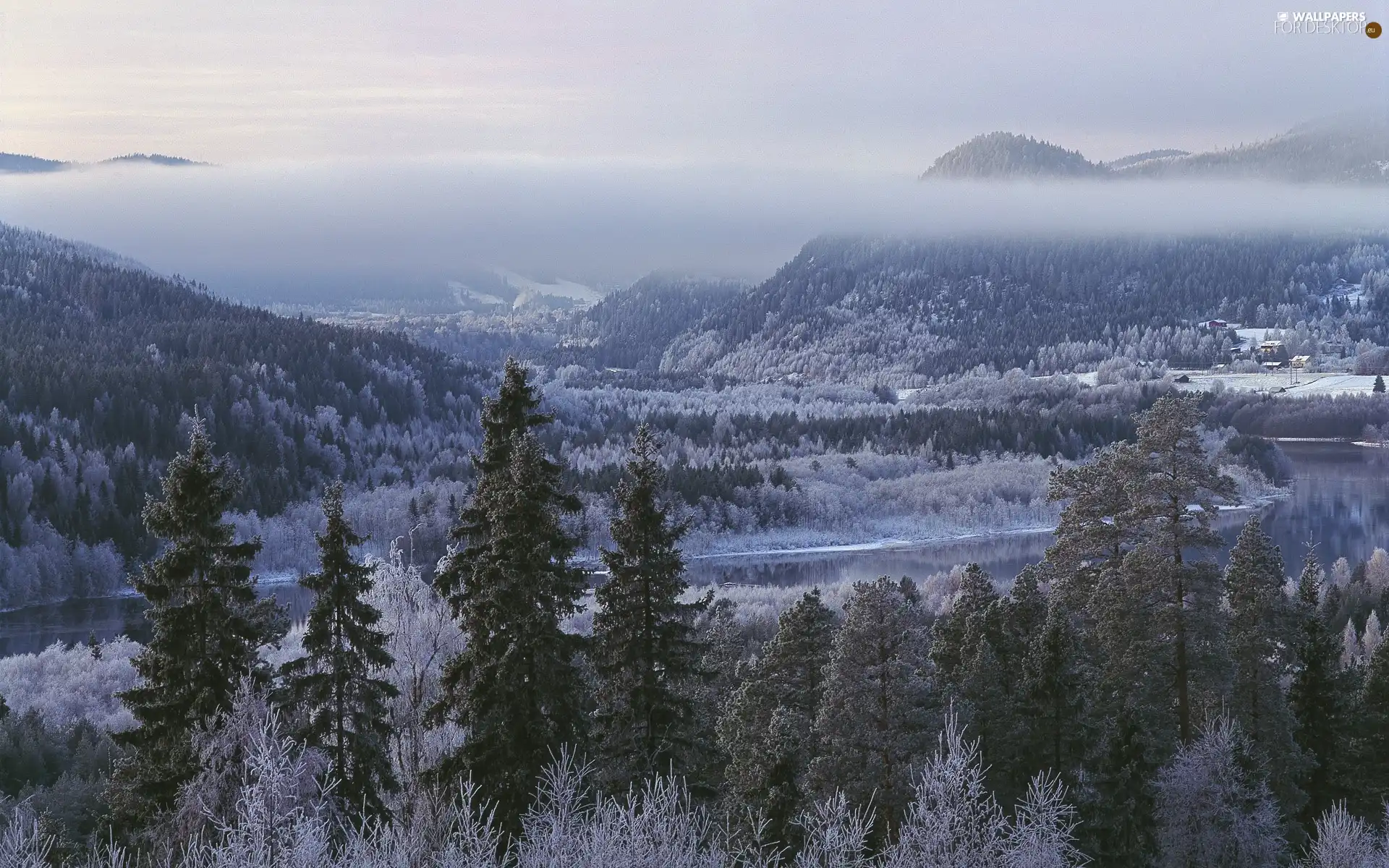 Mountains, River, winter, woods