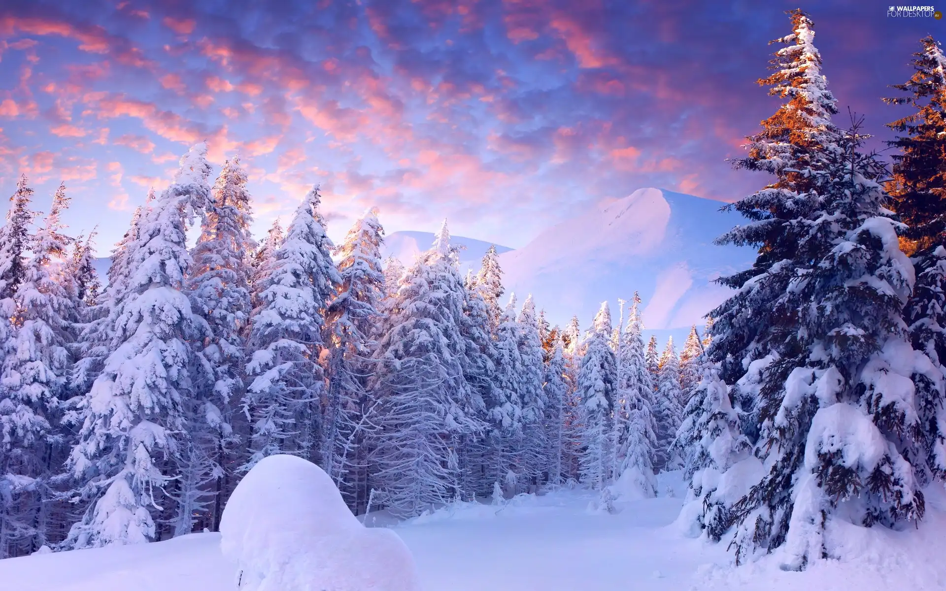 Mountains, snow, winter, forest