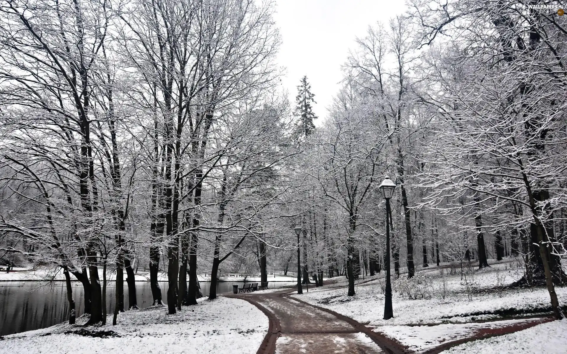 winter, Park, River