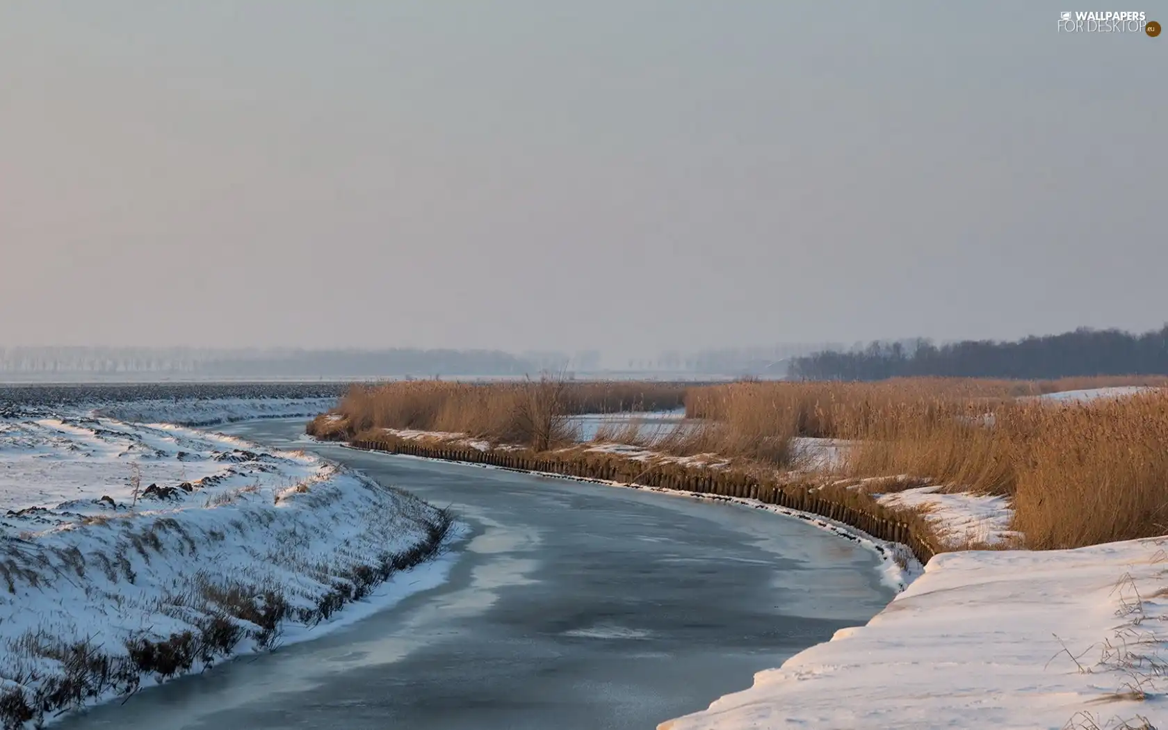 River, snow, winter, grass