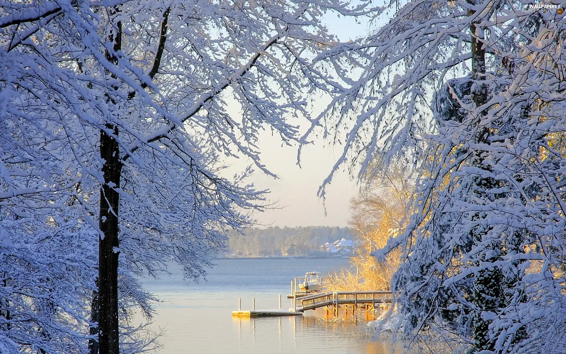 Lake Murray, USA, winter, South Carolina
