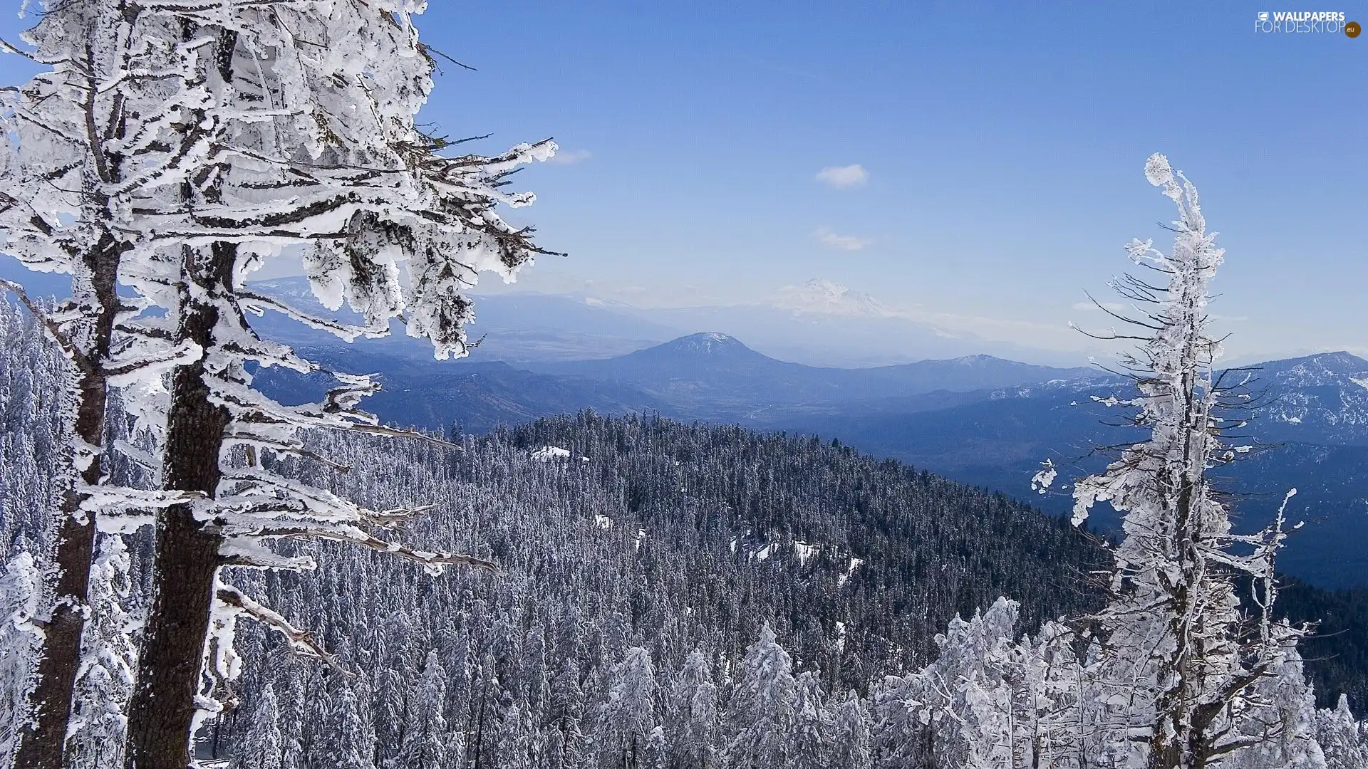 winter, mount, trees, viewes, Hill-side, Mountains