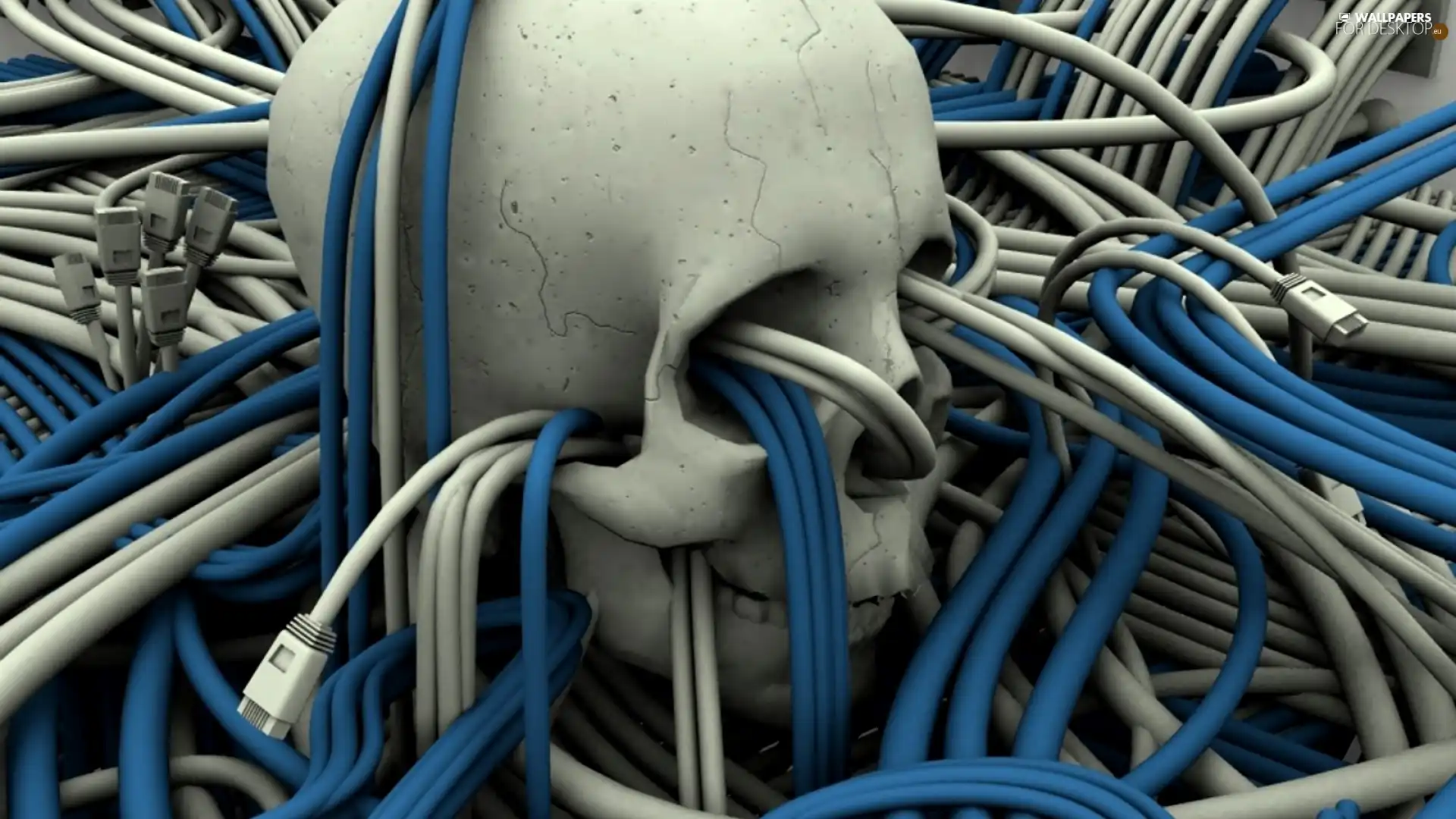 3D, skull, wire, graphics