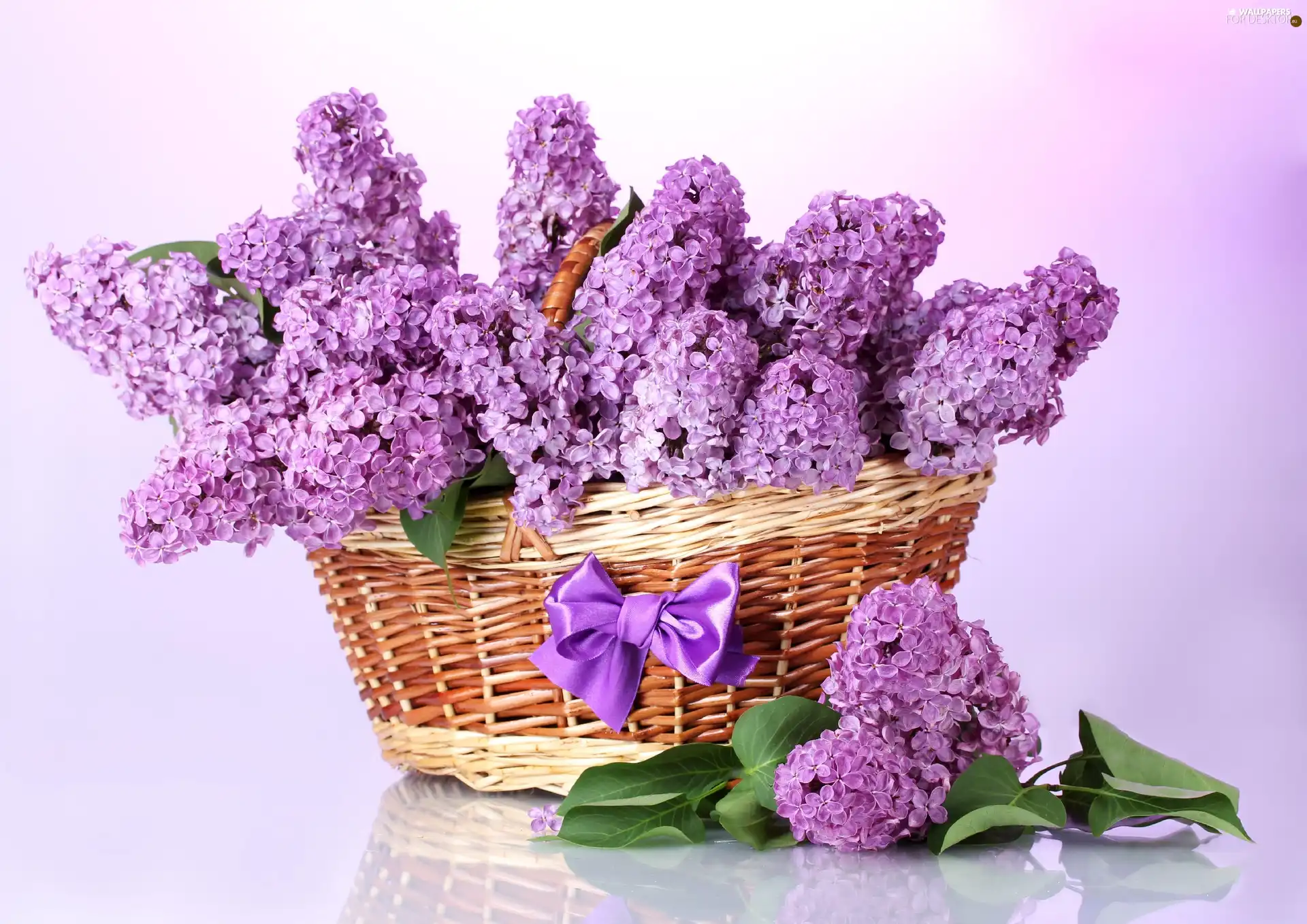 without, basket, Violet
