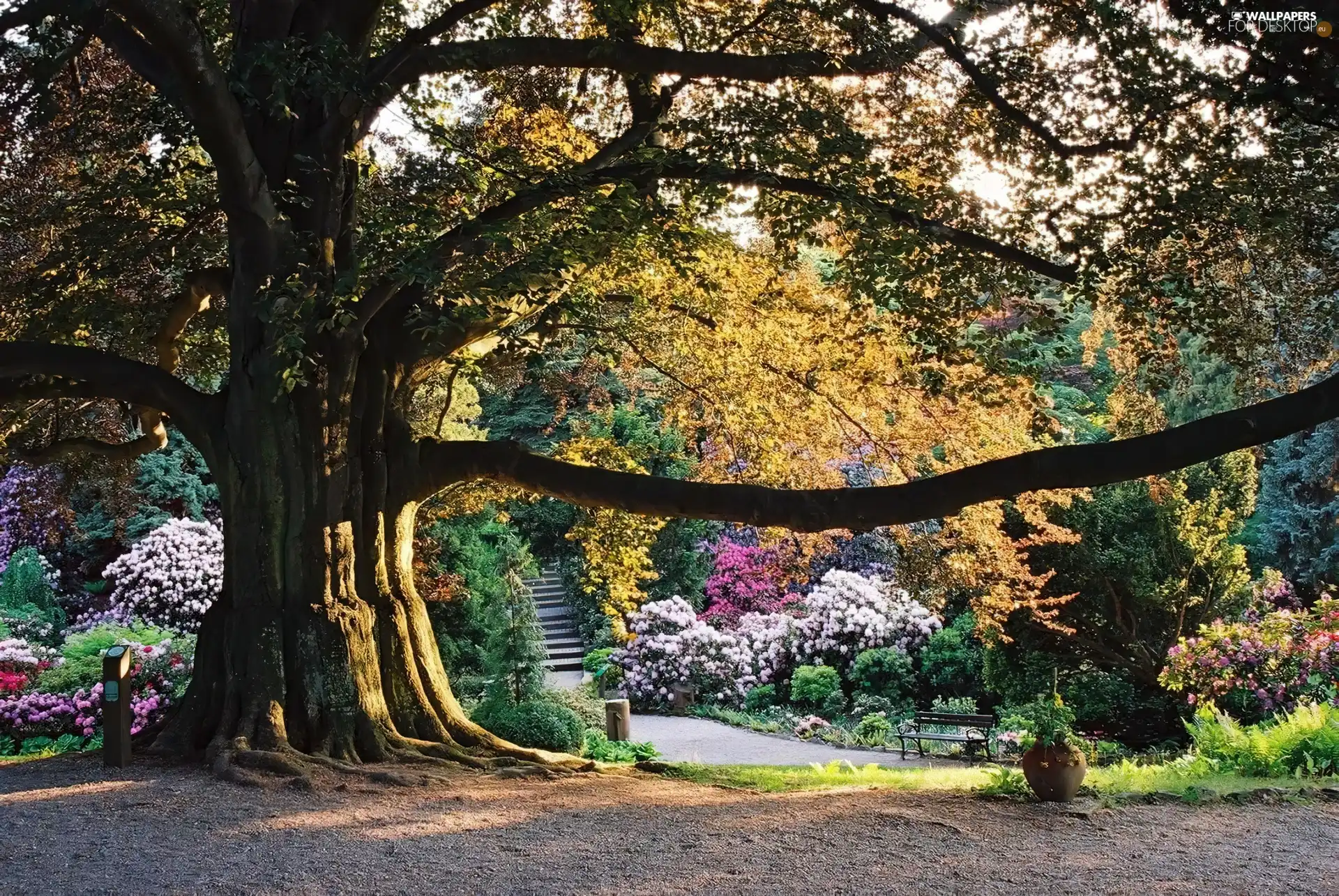 Arboretum, Wojslawice