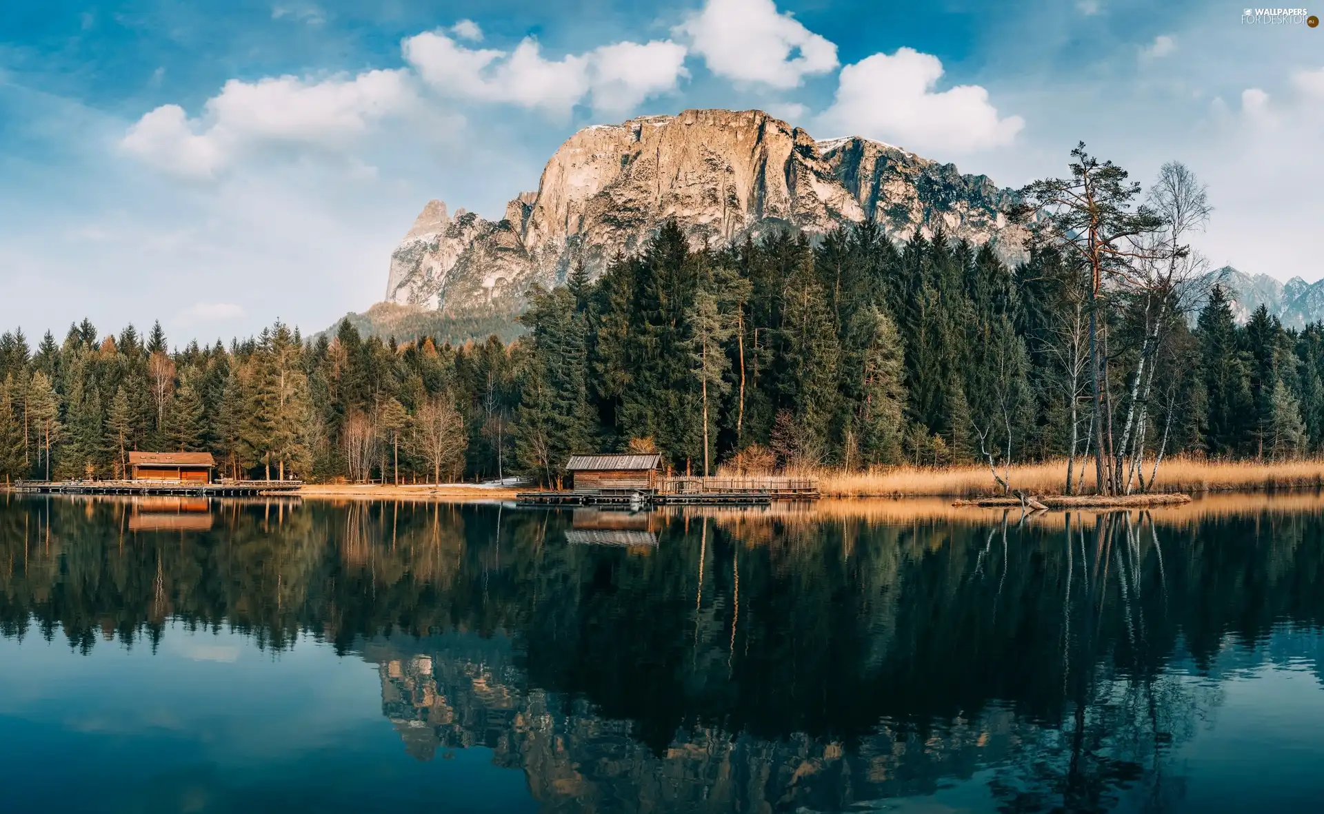 wood, buildings, lake, grass, Mountains