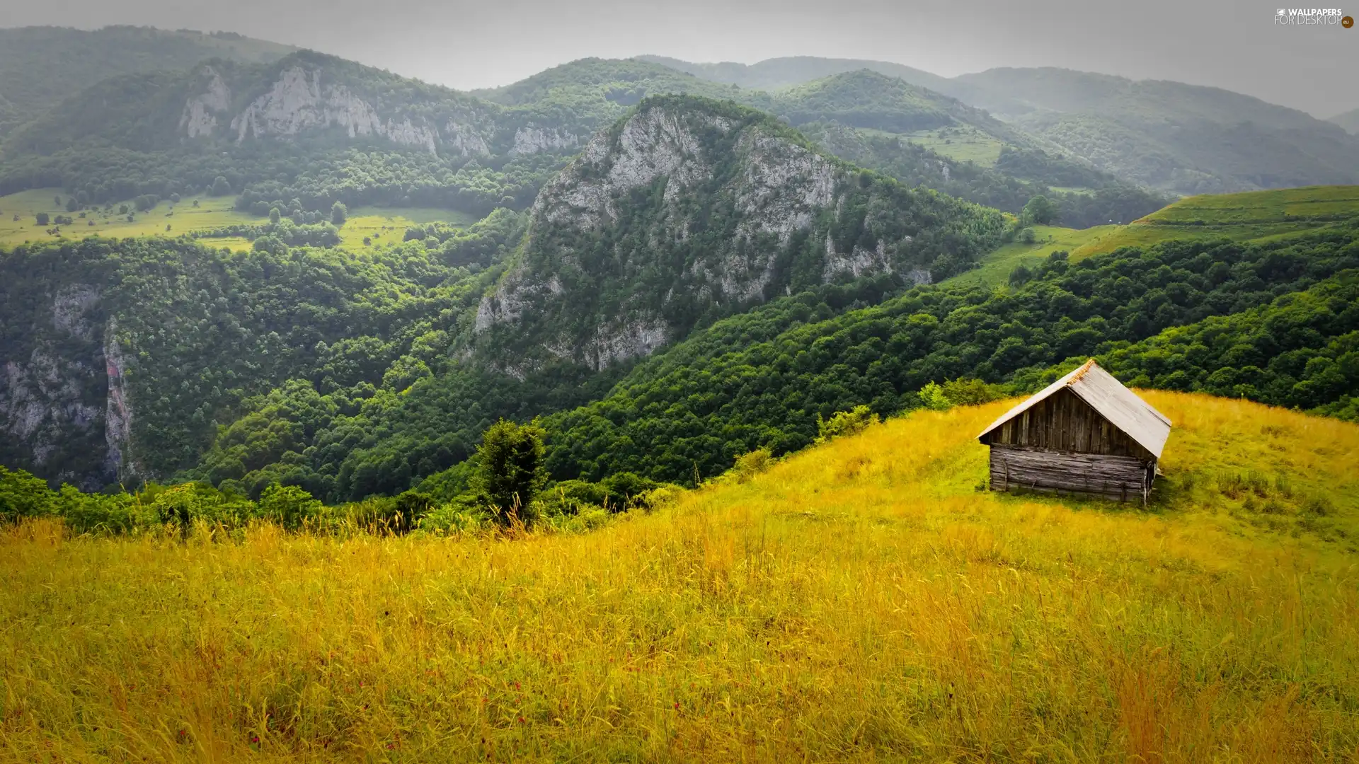 Wooden, Cottage, Mountains, woods, Romania